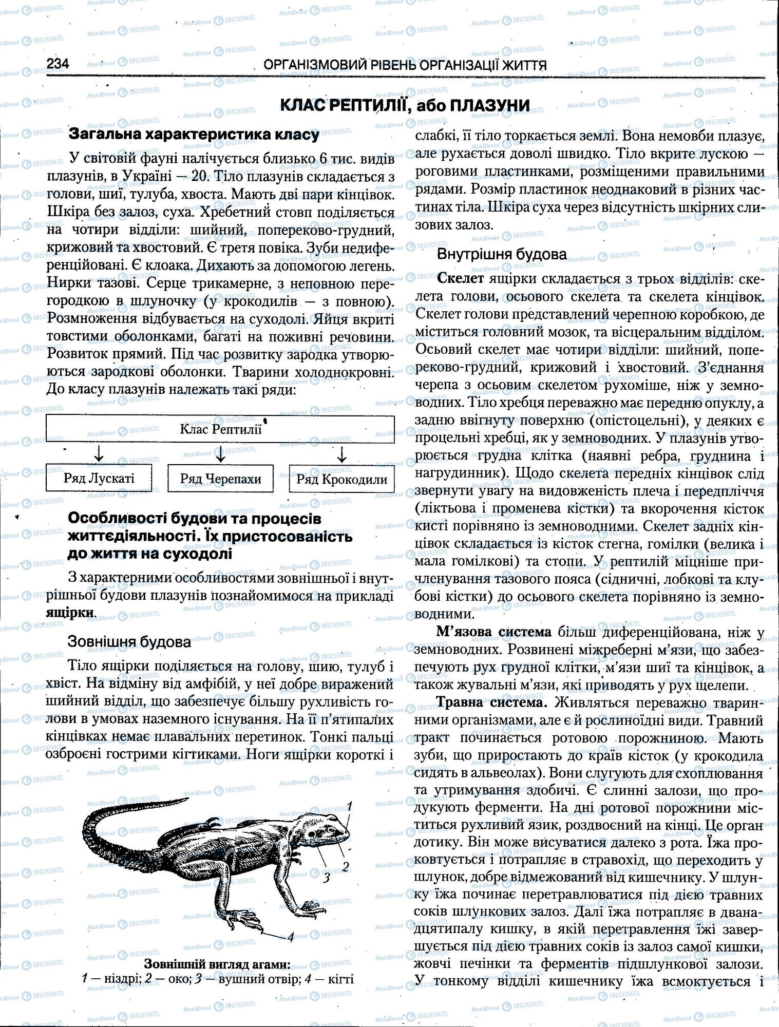 ЗНО Биология 11 класс страница 234