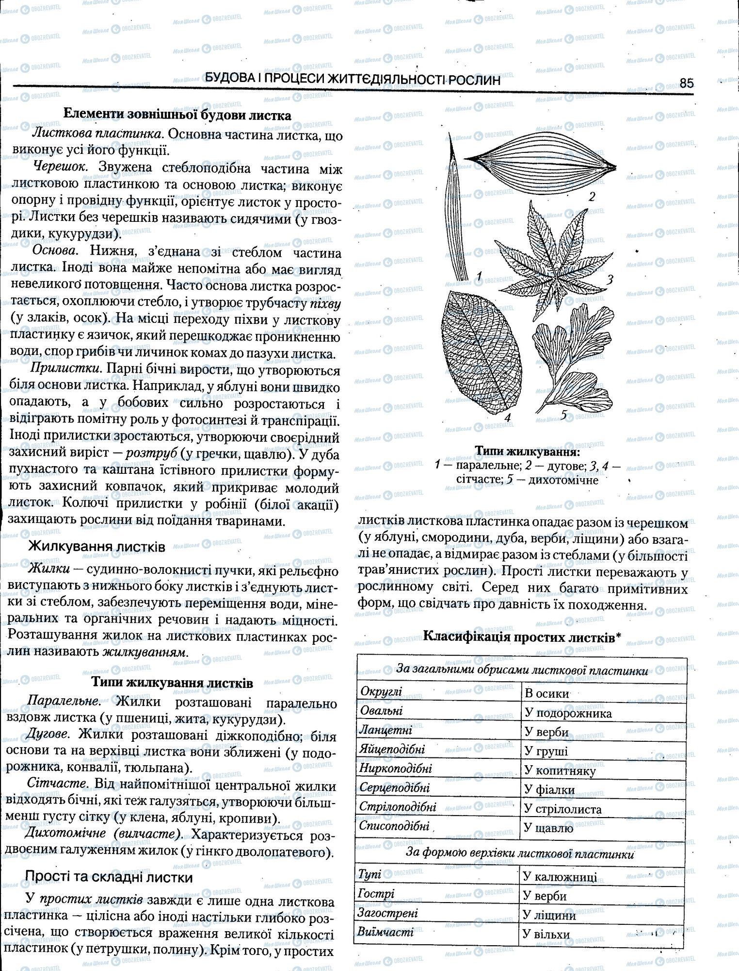 ЗНО Біологія 11 клас сторінка 085