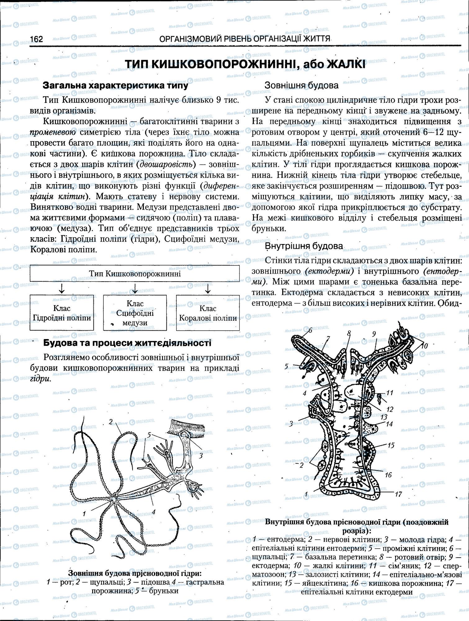 ЗНО Біологія 11 клас сторінка 162