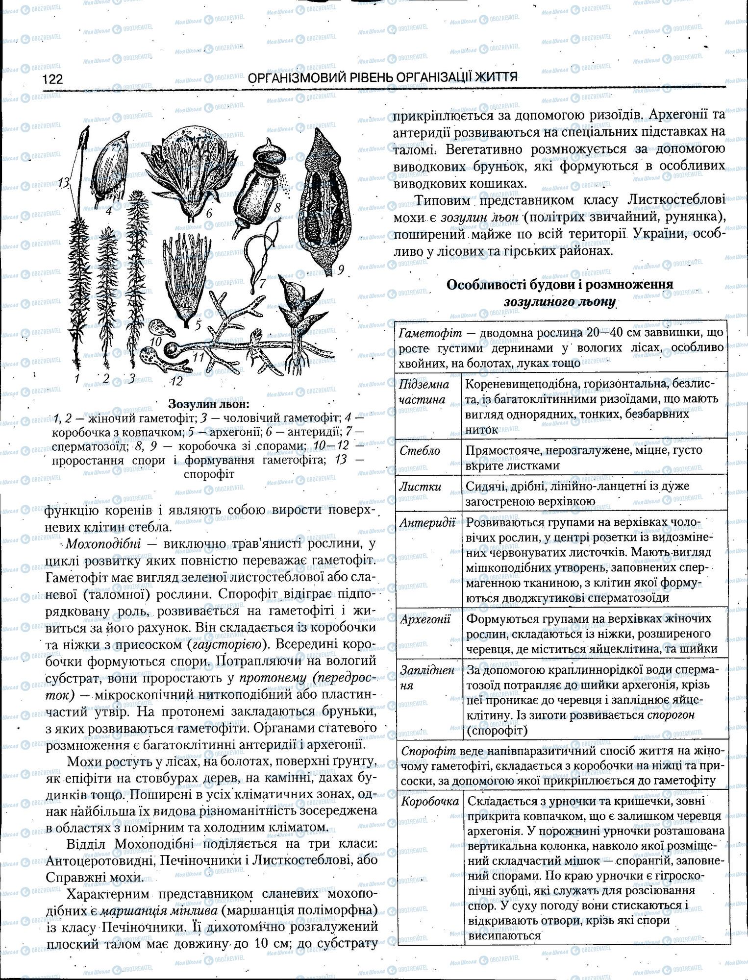 ЗНО Биология 11 класс страница 122