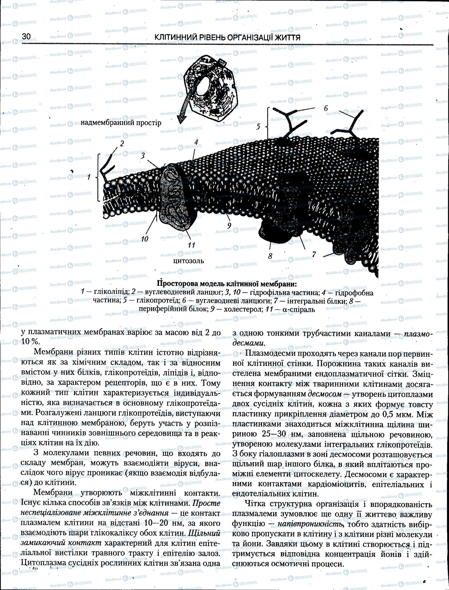 ЗНО Біологія 11 клас сторінка 030