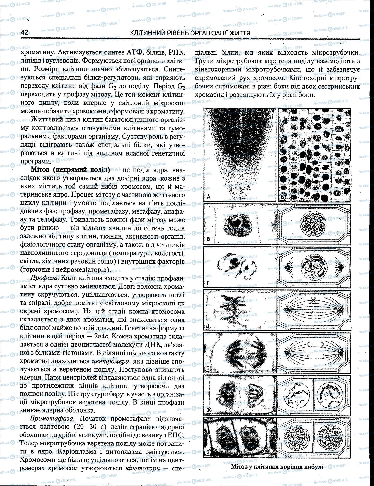 ЗНО Біологія 11 клас сторінка 042
