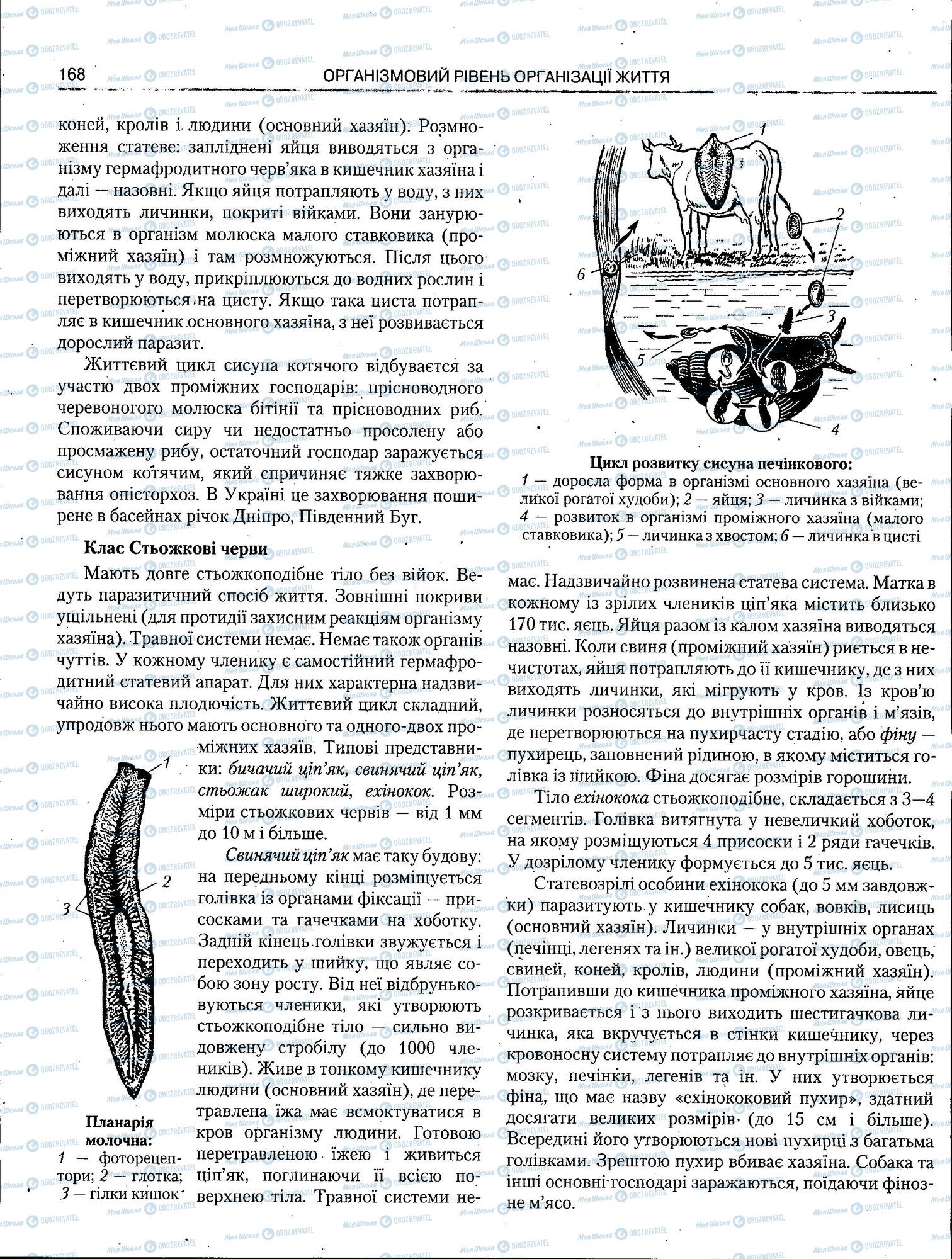 ЗНО Биология 11 класс страница 168