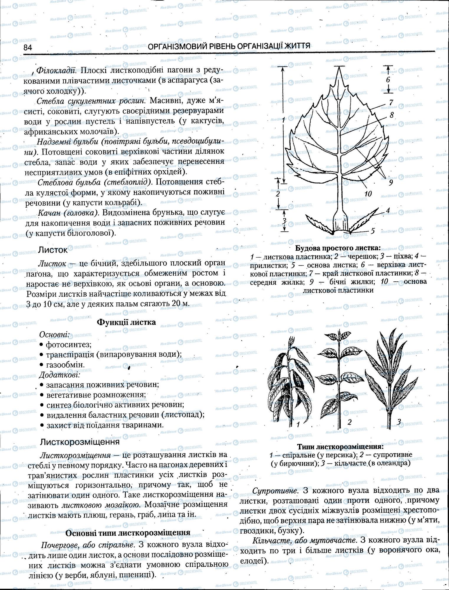 ЗНО Біологія 11 клас сторінка 084
