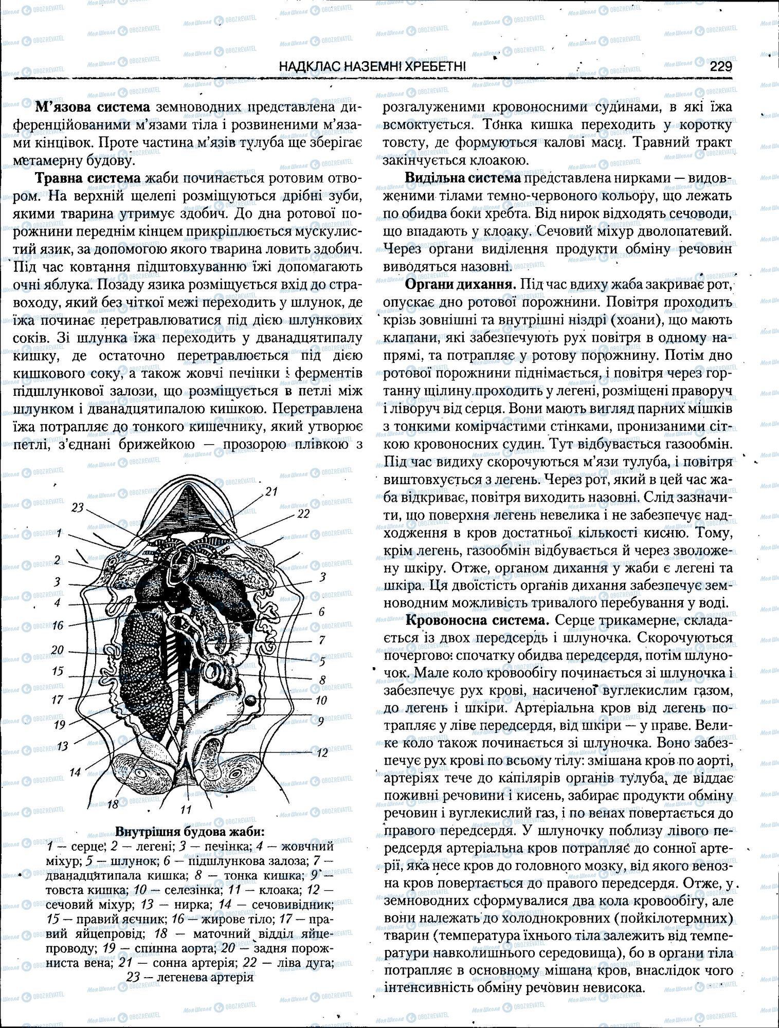 ЗНО Біологія 11 клас сторінка 229