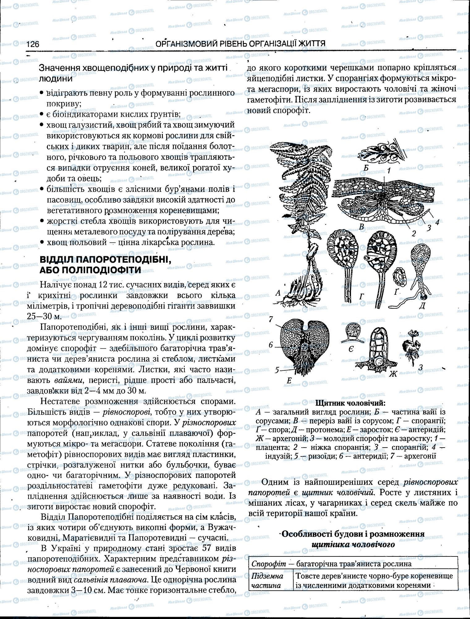 ЗНО Біологія 11 клас сторінка 126