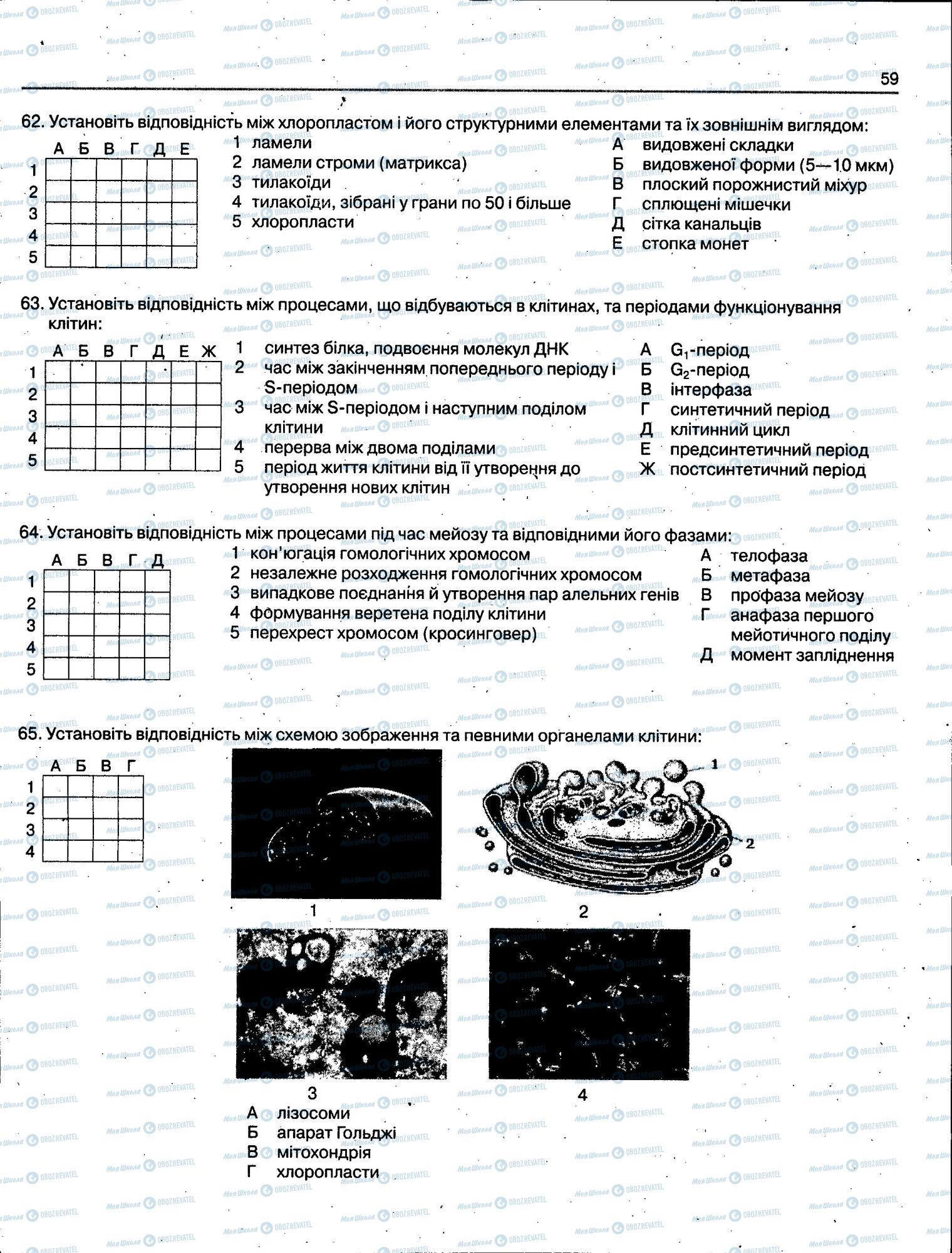 ЗНО Біологія 11 клас сторінка 059