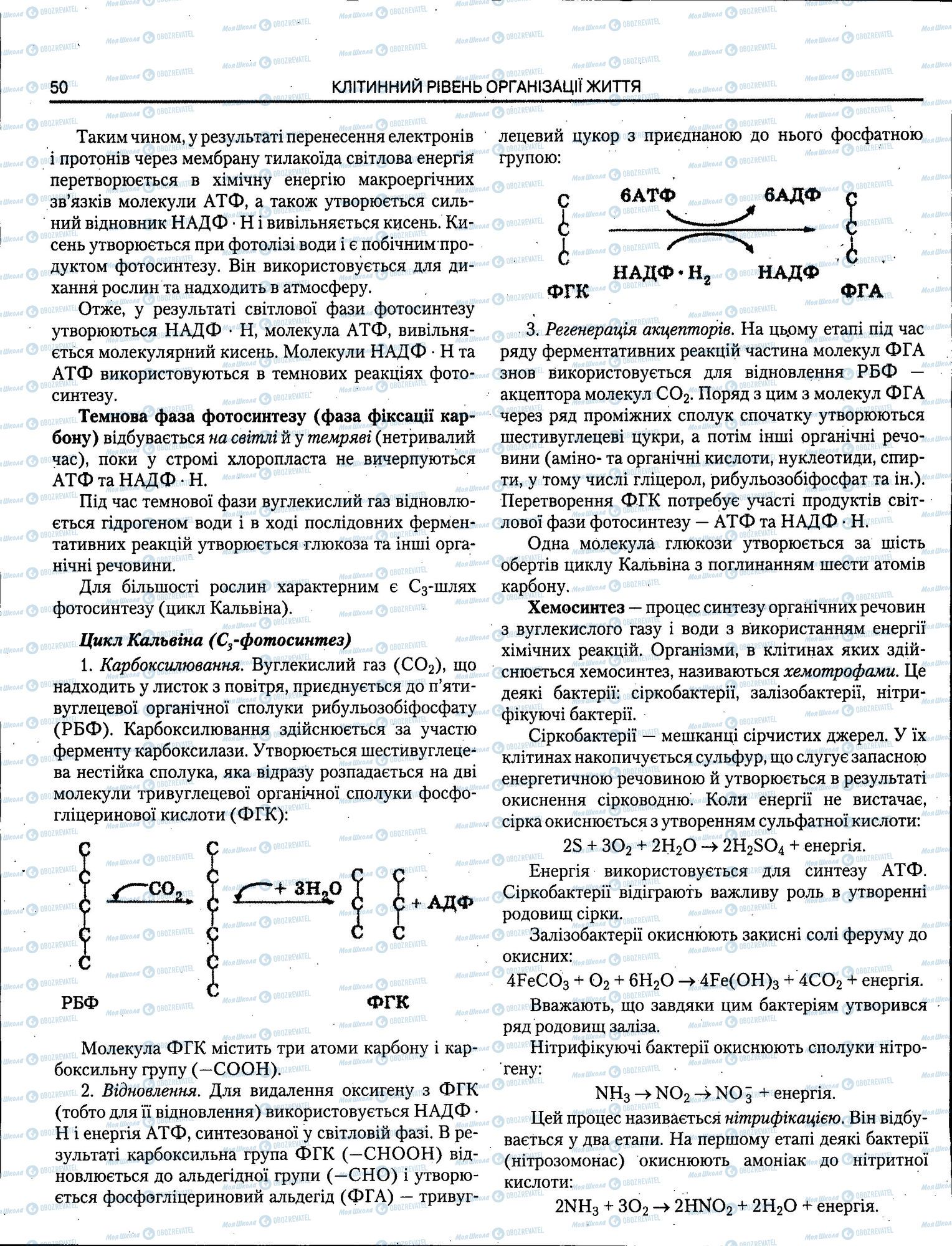 ЗНО Биология 11 класс страница 050