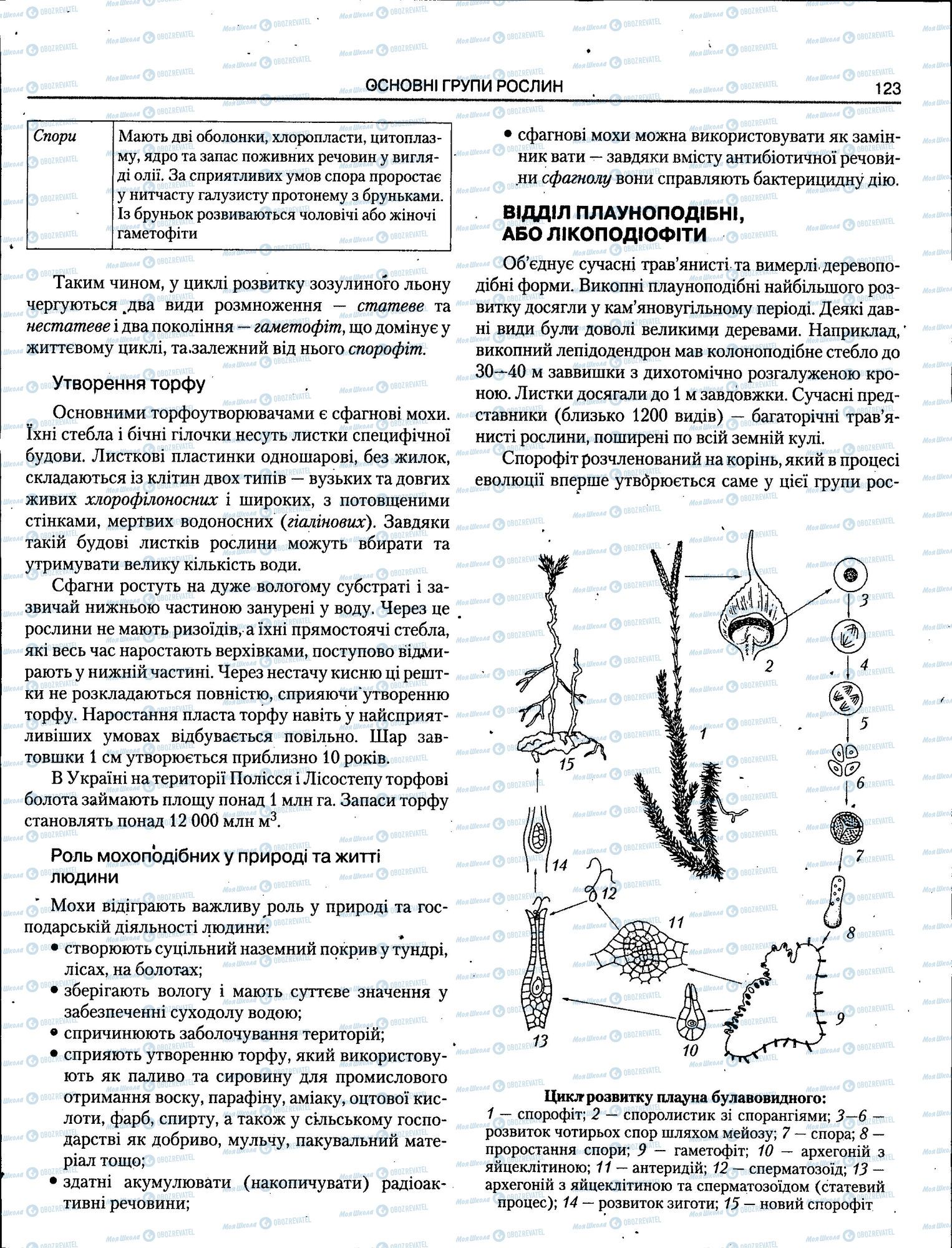 ЗНО Биология 11 класс страница 123