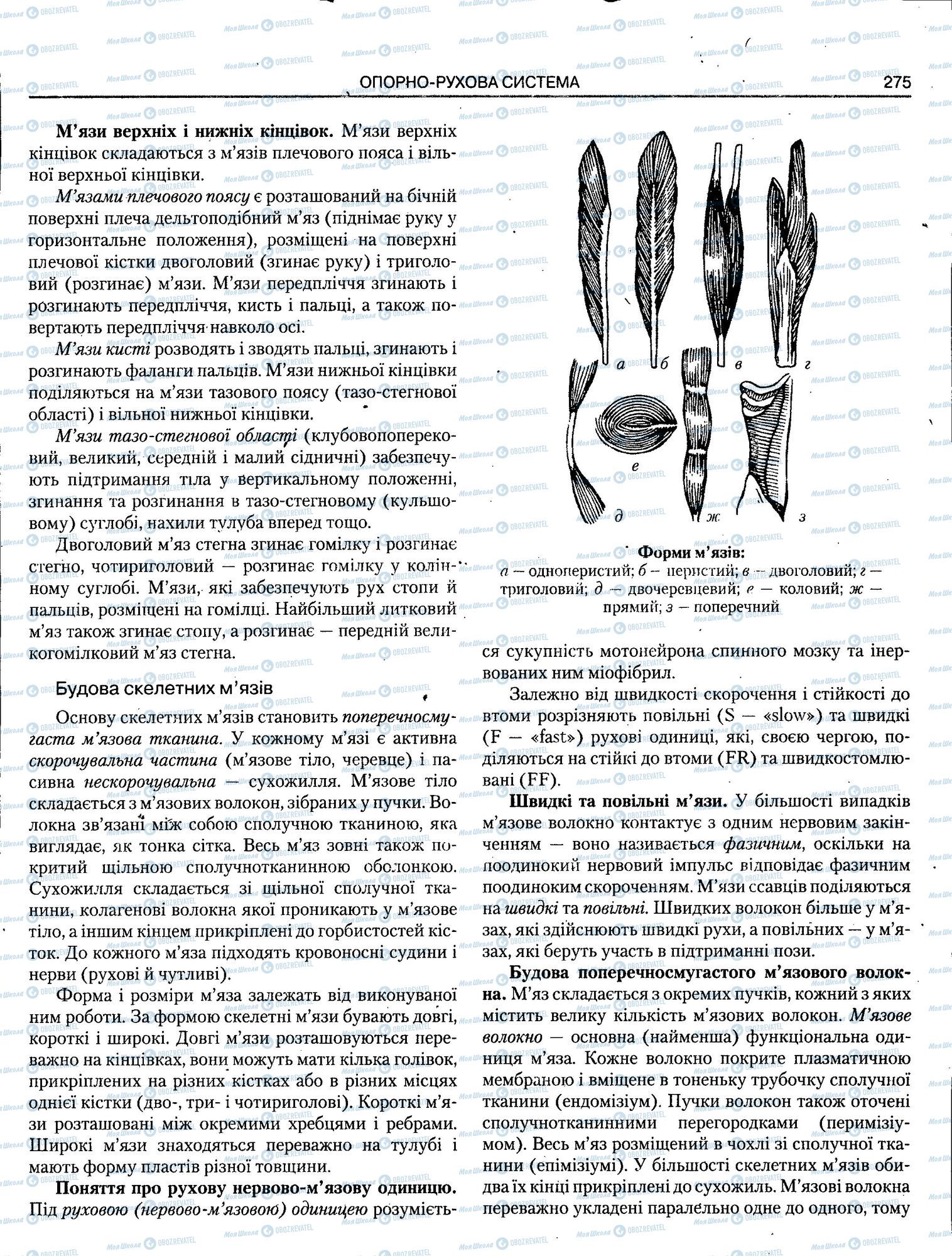 ЗНО Біологія 11 клас сторінка 275