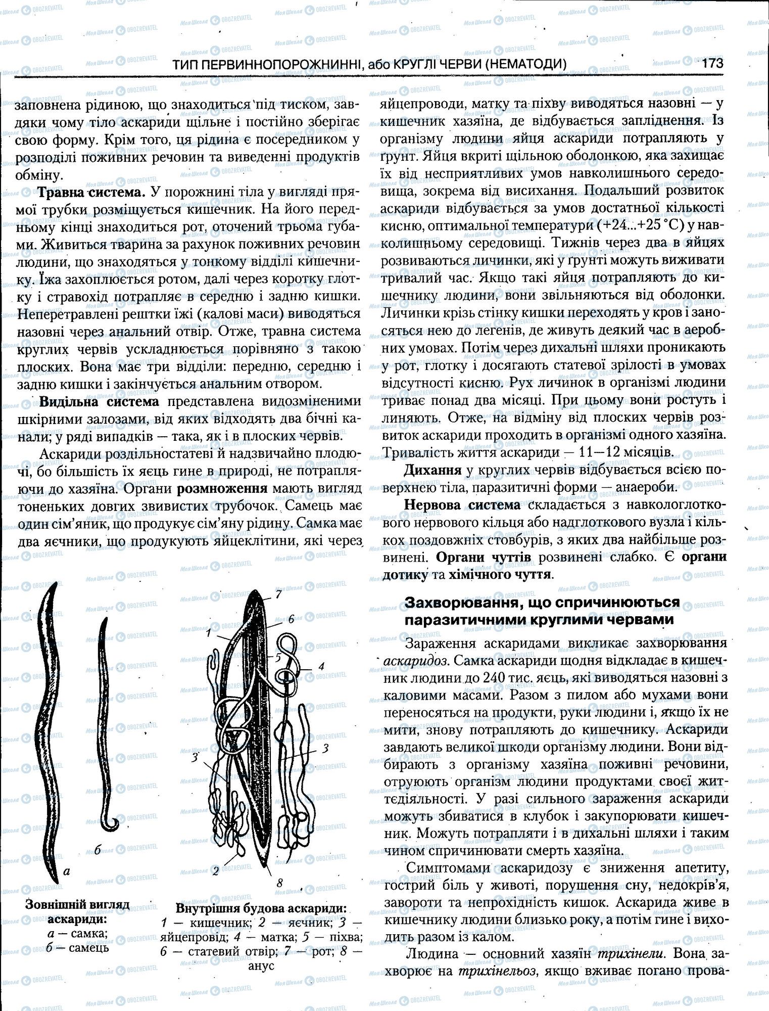 ЗНО Биология 11 класс страница 173