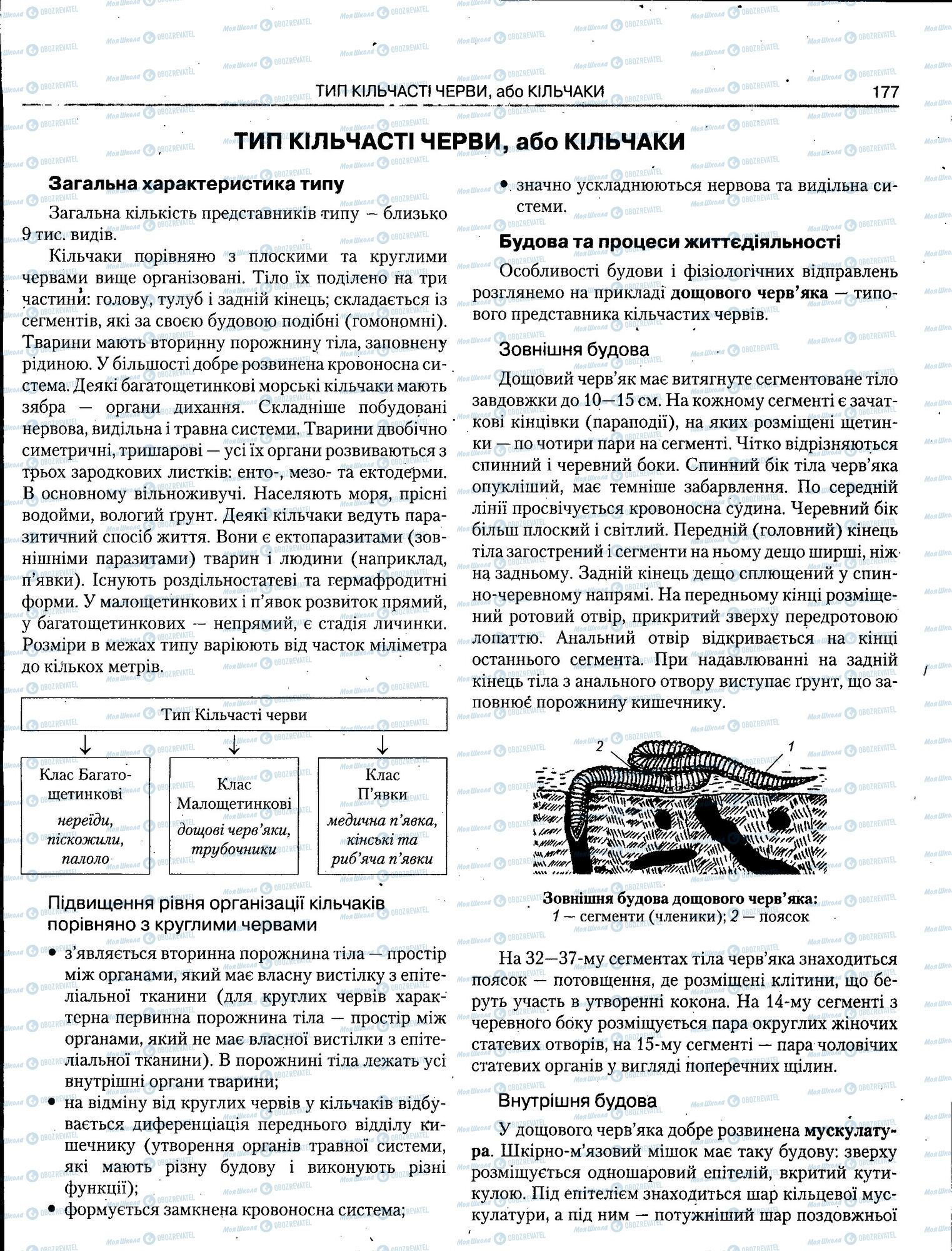 ЗНО Біологія 11 клас сторінка 177