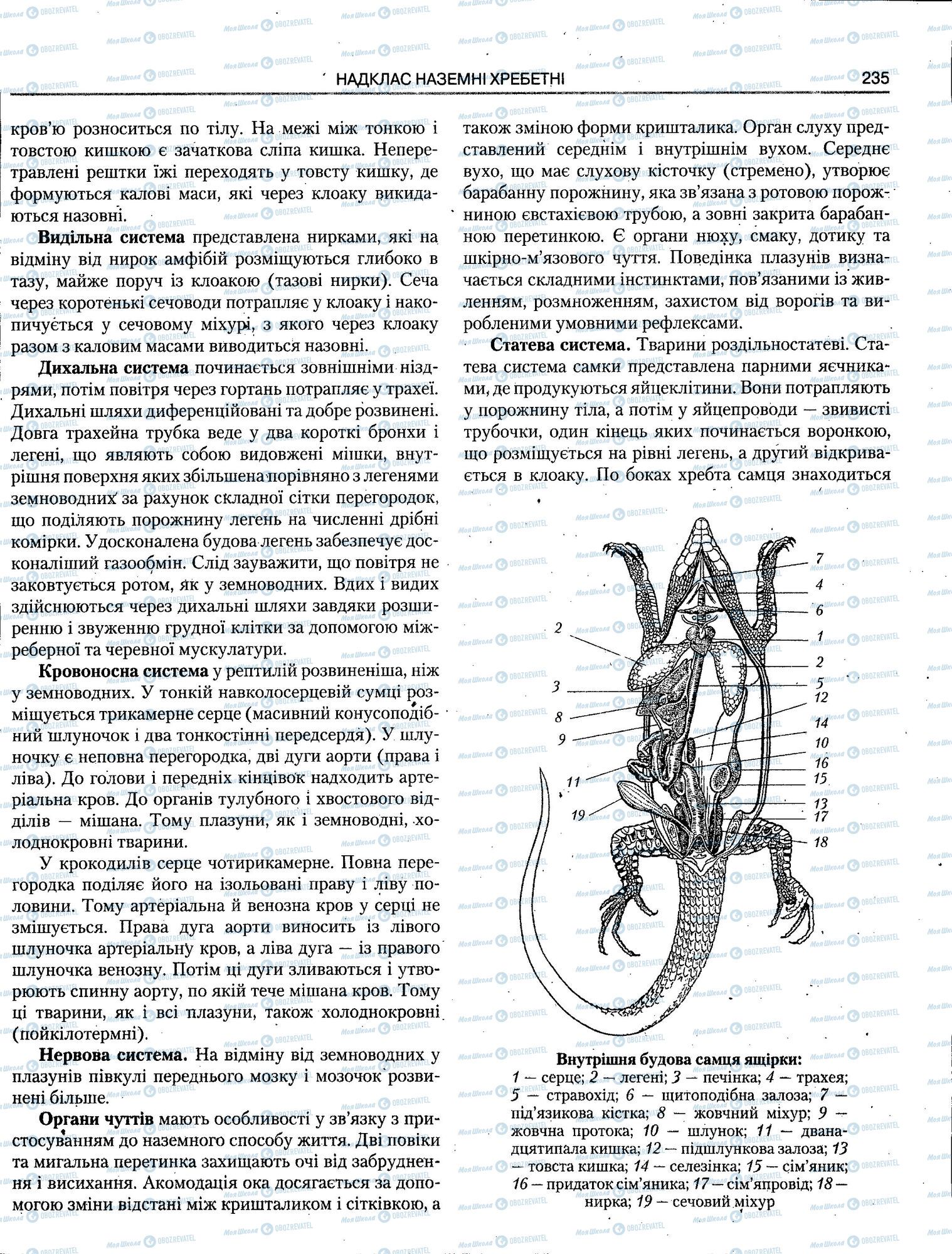 ЗНО Біологія 11 клас сторінка 235