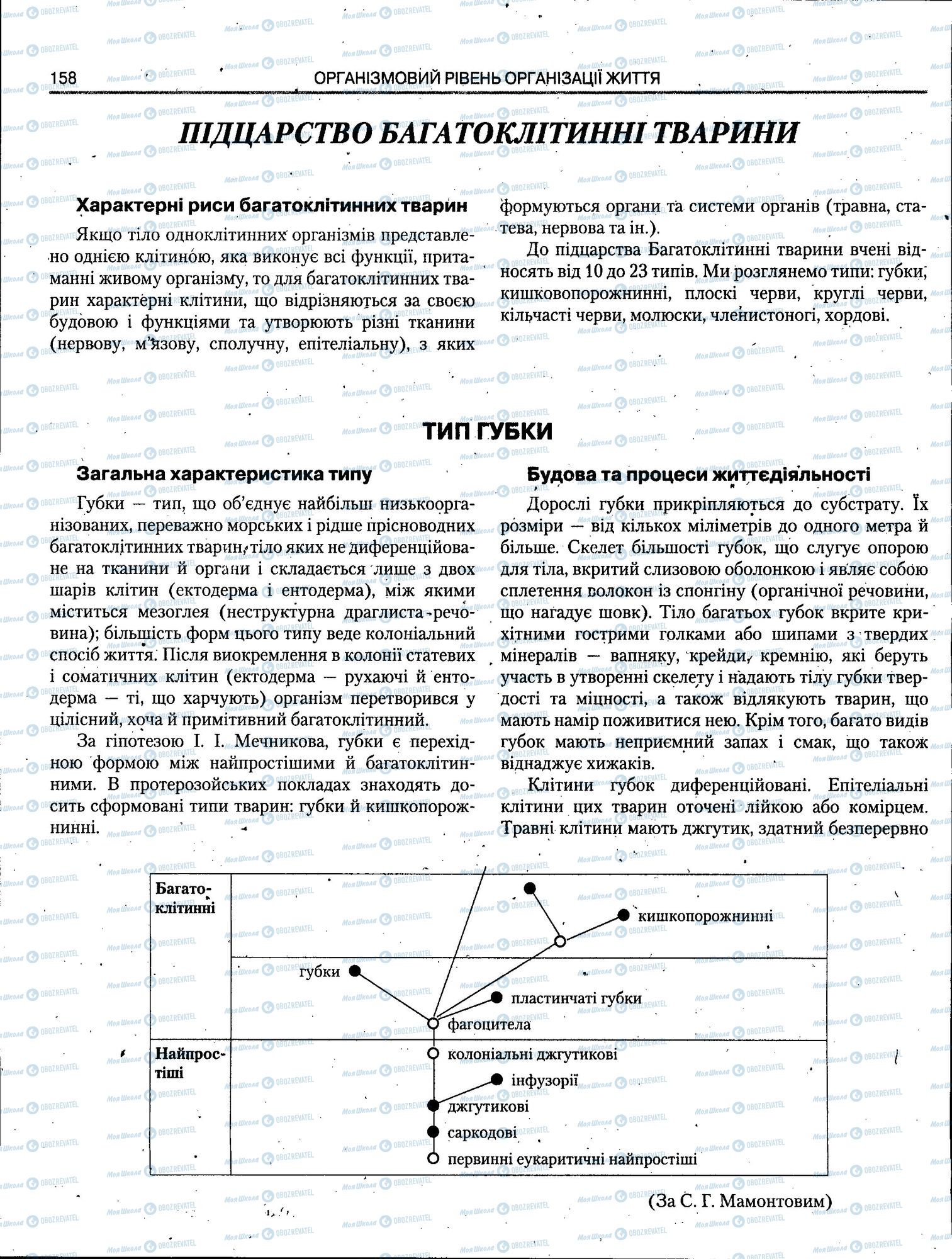 ЗНО Биология 11 класс страница 158