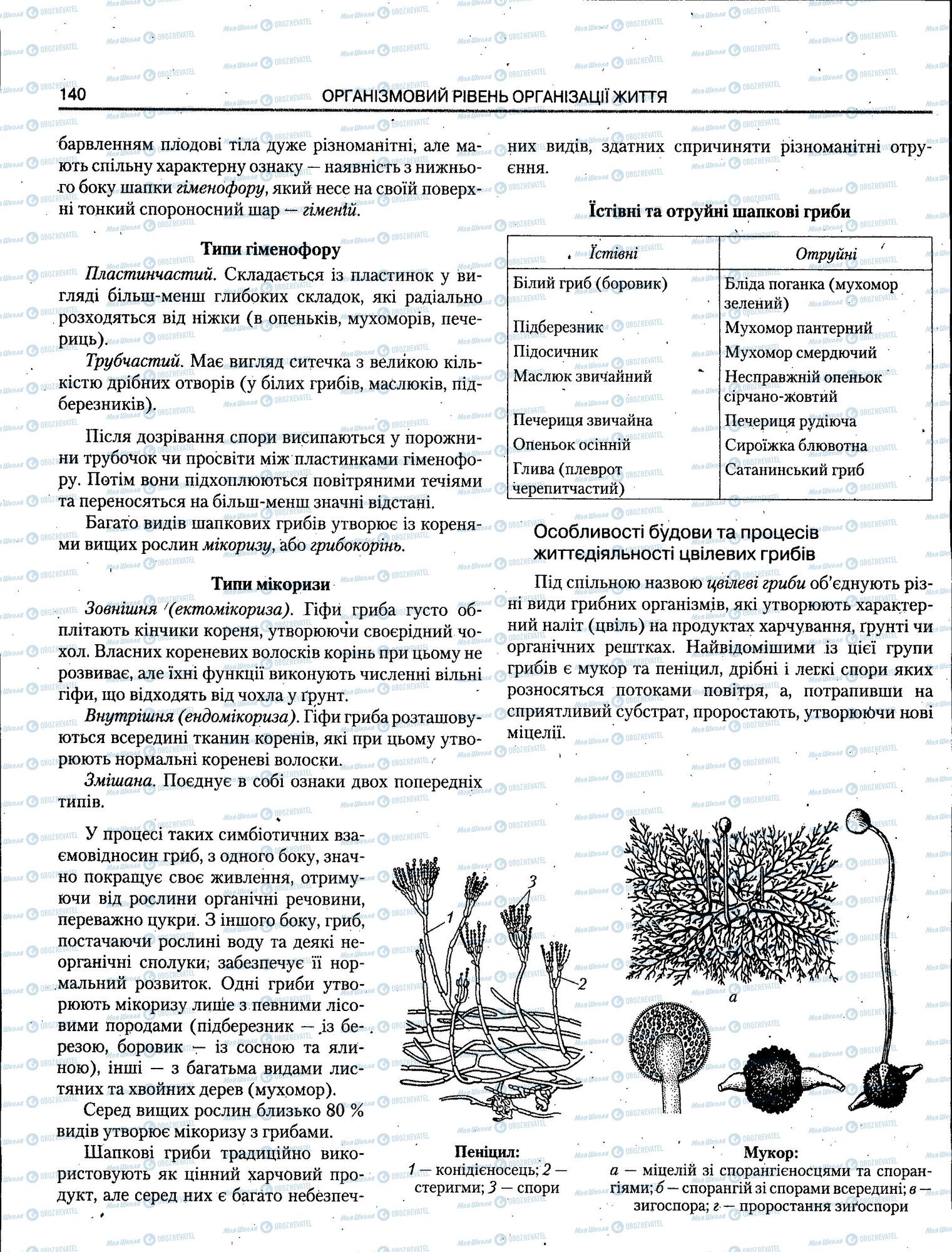 ЗНО Біологія 11 клас сторінка 140