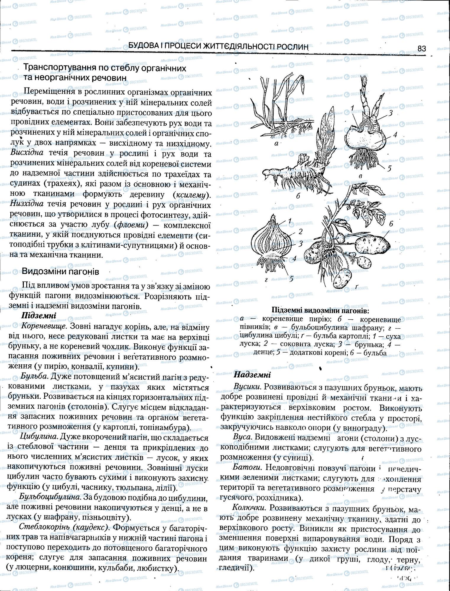 ЗНО Биология 11 класс страница 083