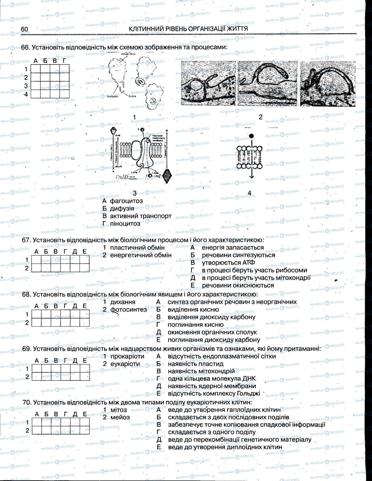 ЗНО Біологія 11 клас сторінка 060