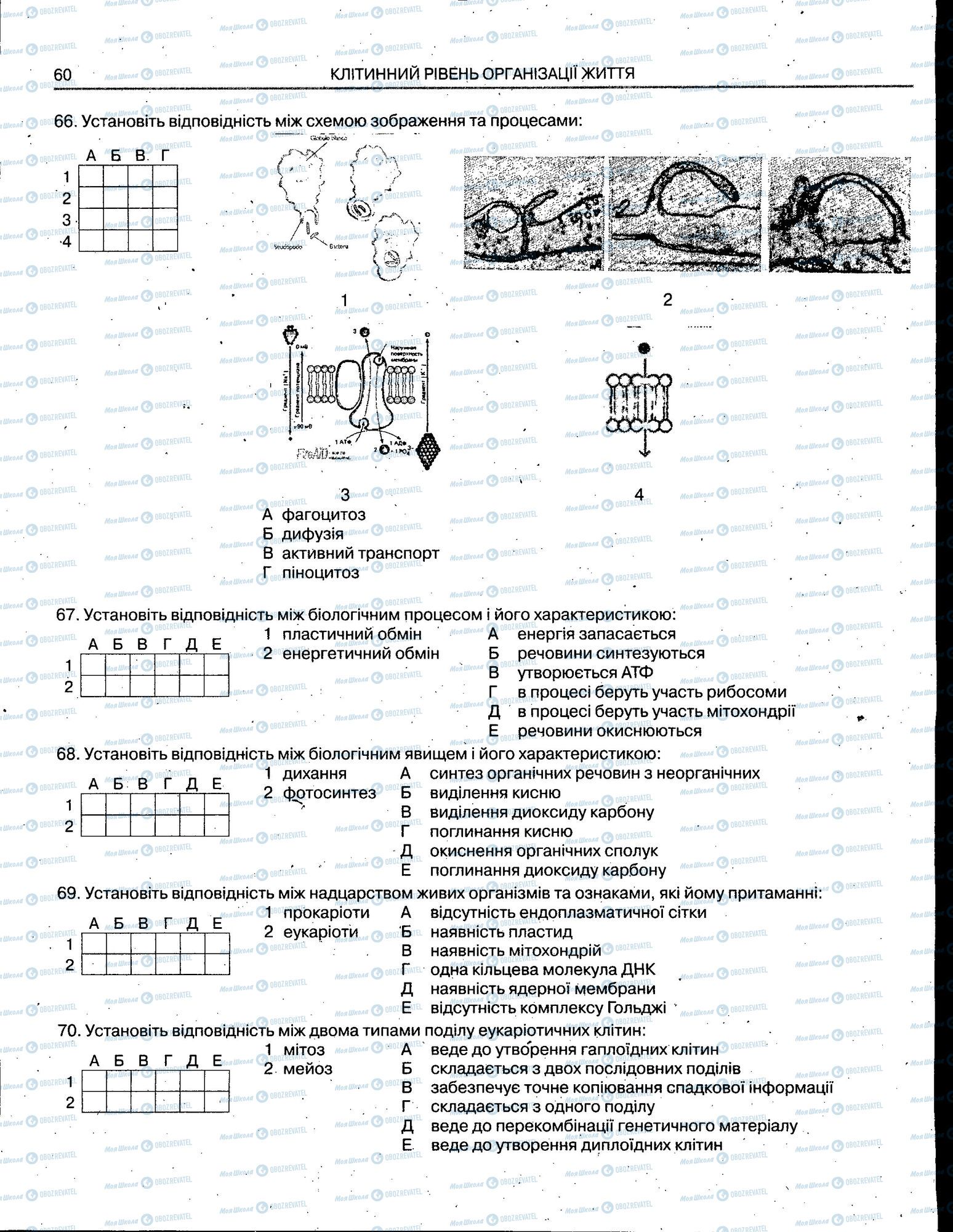ЗНО Биология 11 класс страница 060