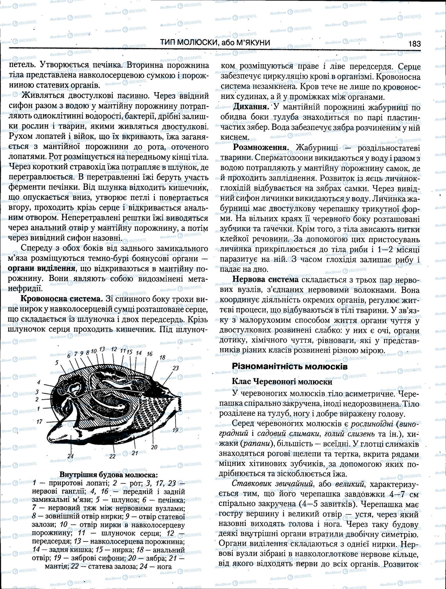 ЗНО Биология 11 класс страница 183