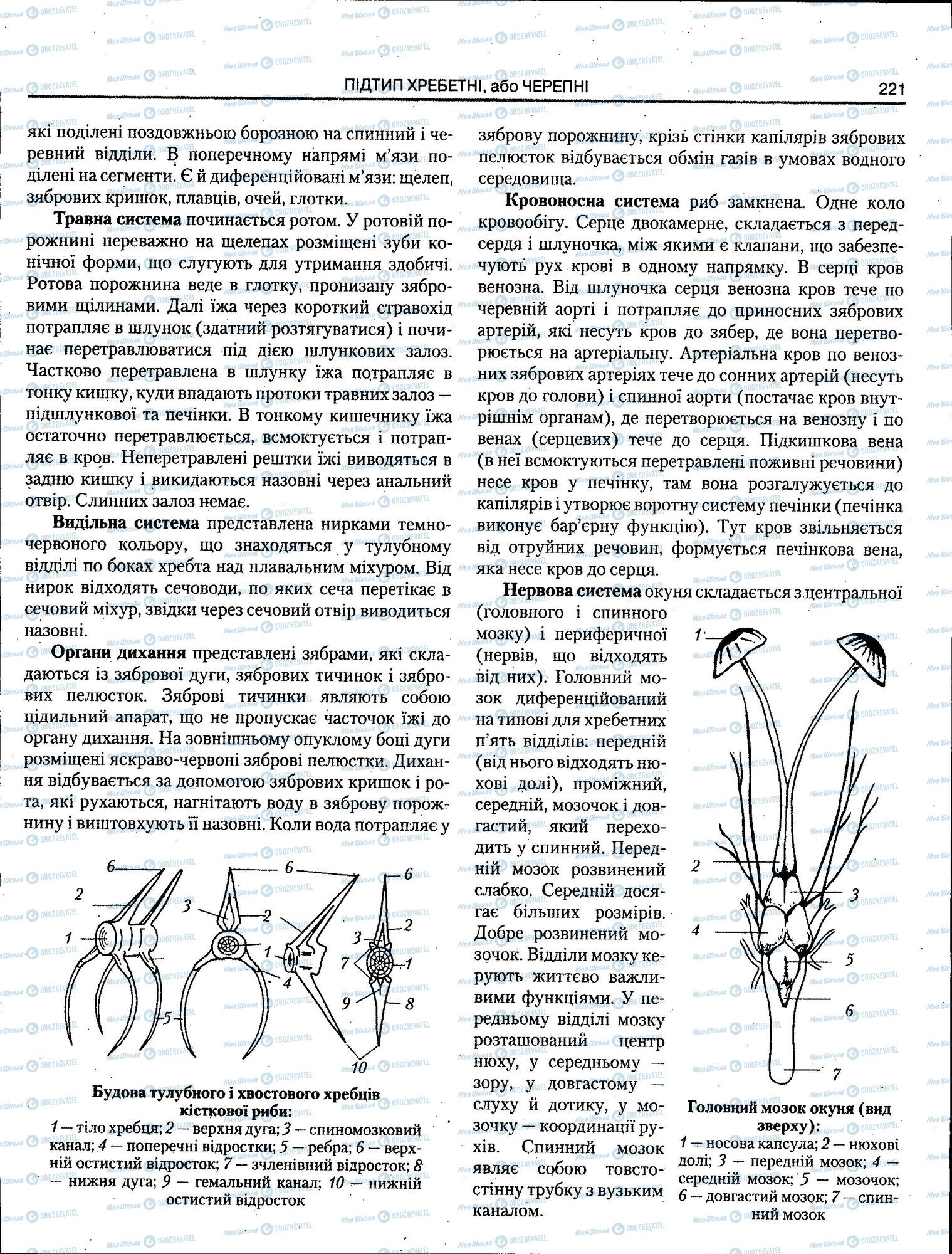 ЗНО Биология 11 класс страница 221