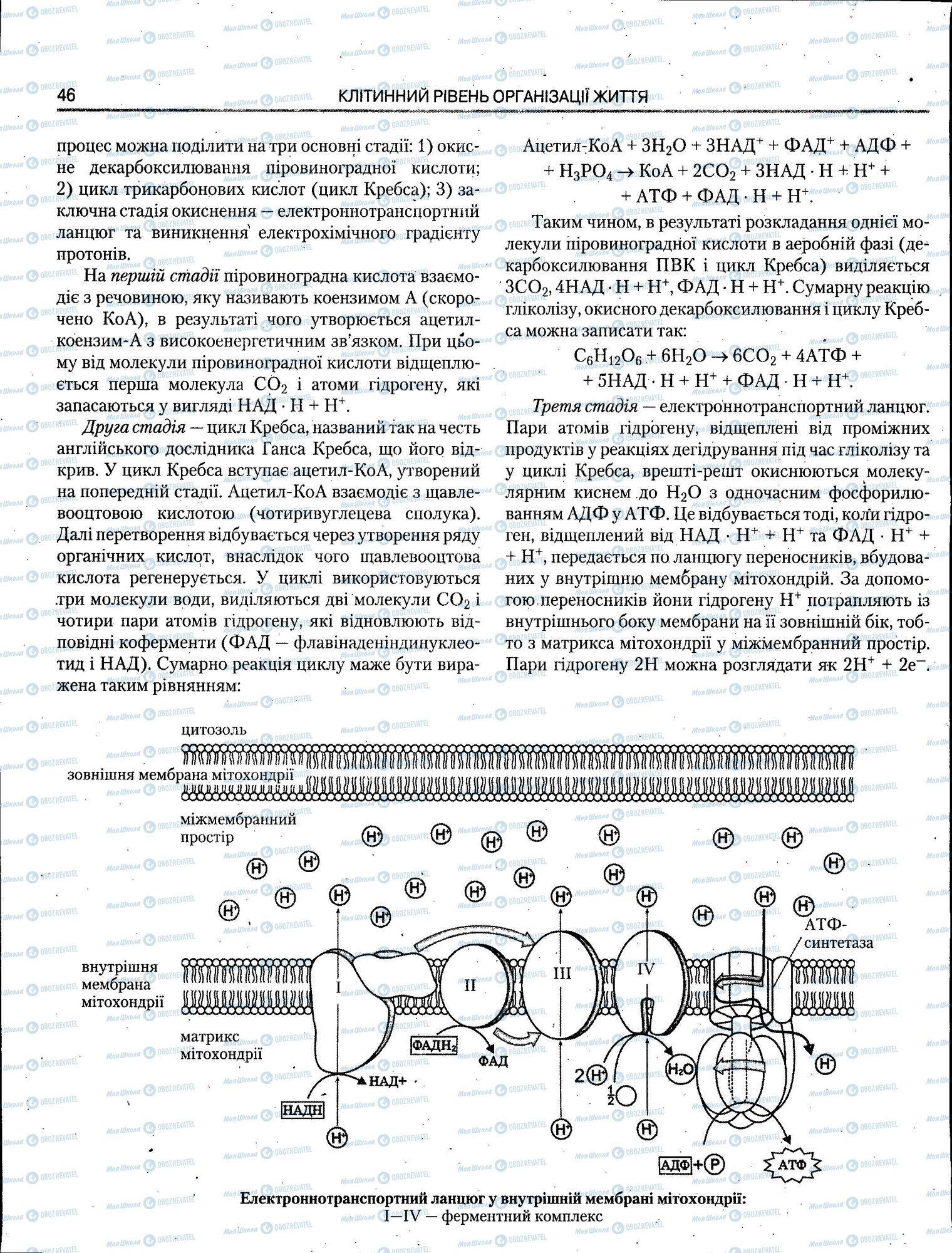 ЗНО Биология 11 класс страница 046