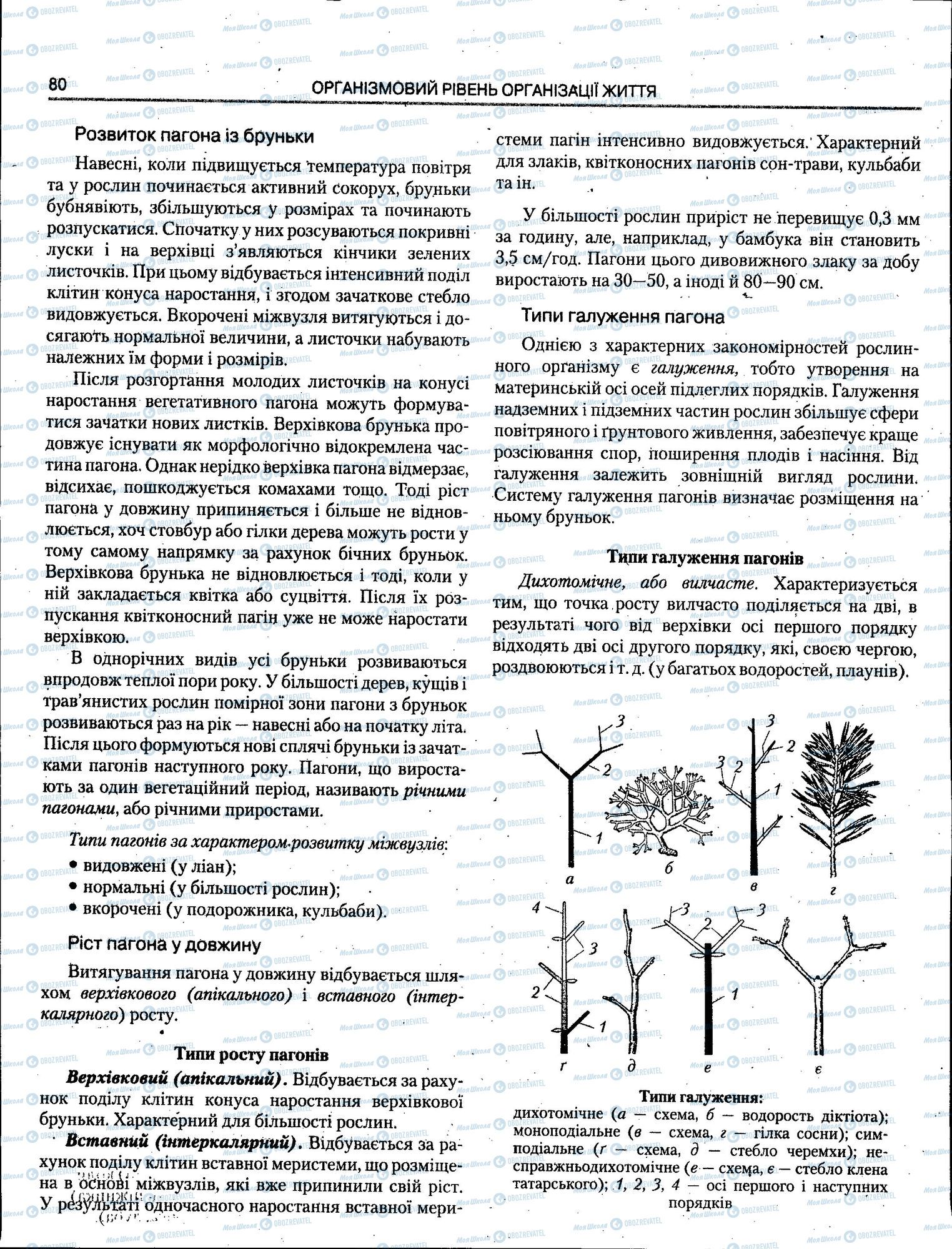 ЗНО Биология 11 класс страница 080