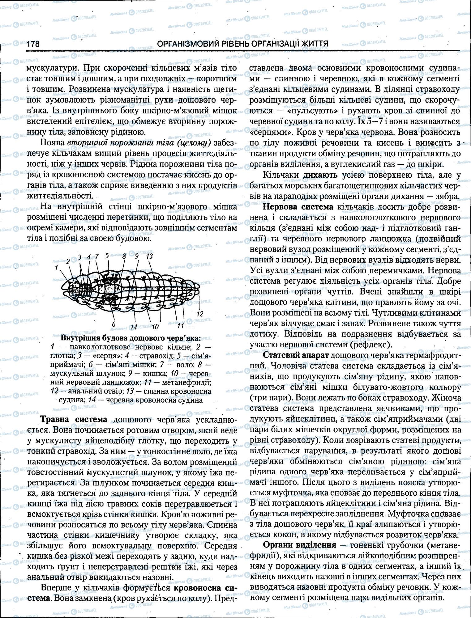 ЗНО Биология 11 класс страница 178