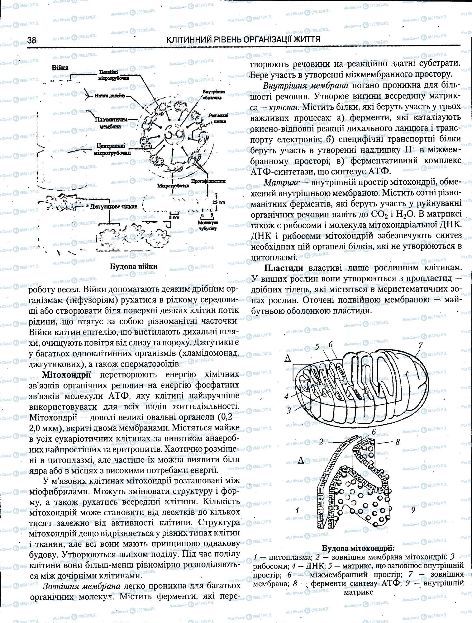 ЗНО Біологія 11 клас сторінка 038