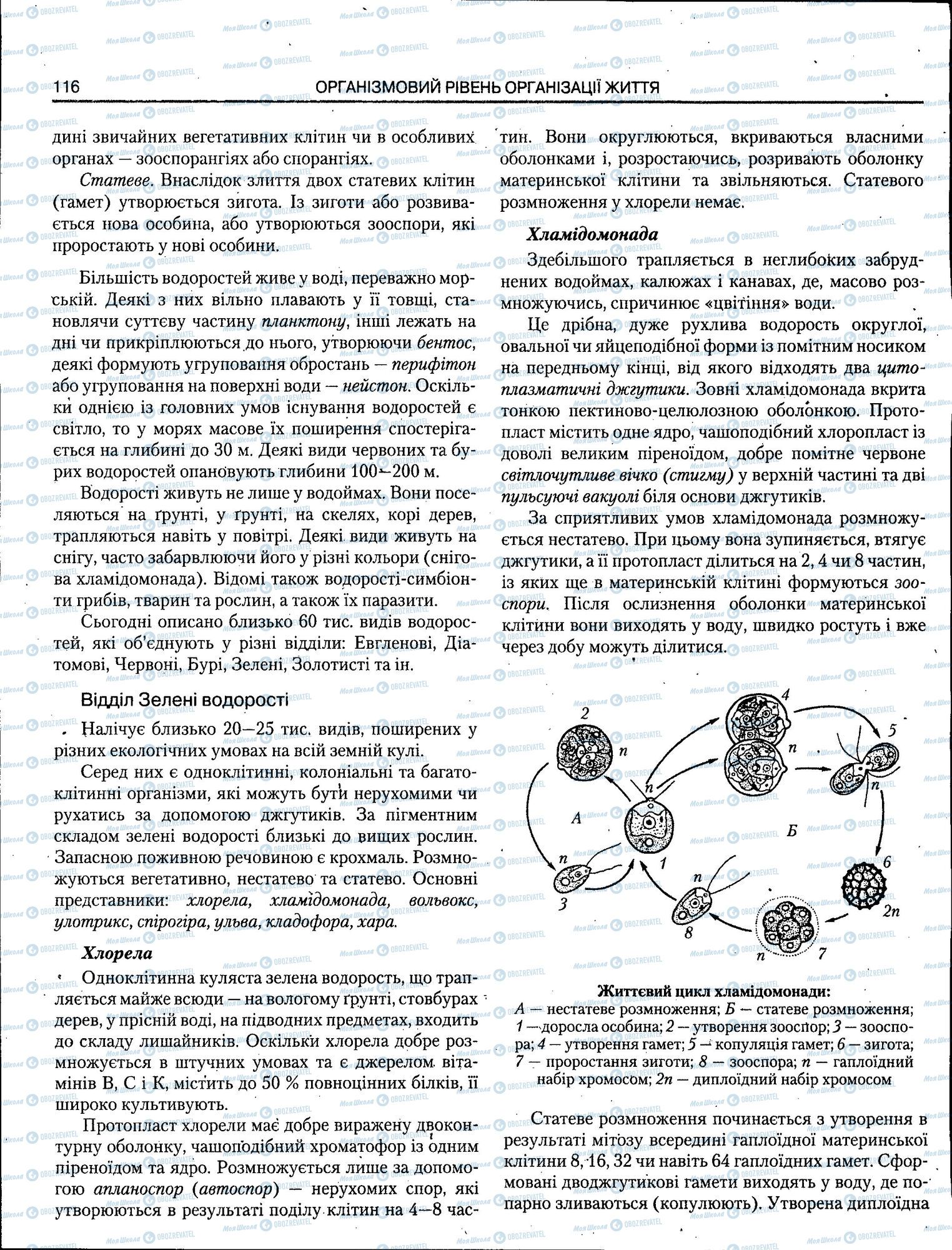 ЗНО Біологія 11 клас сторінка 116