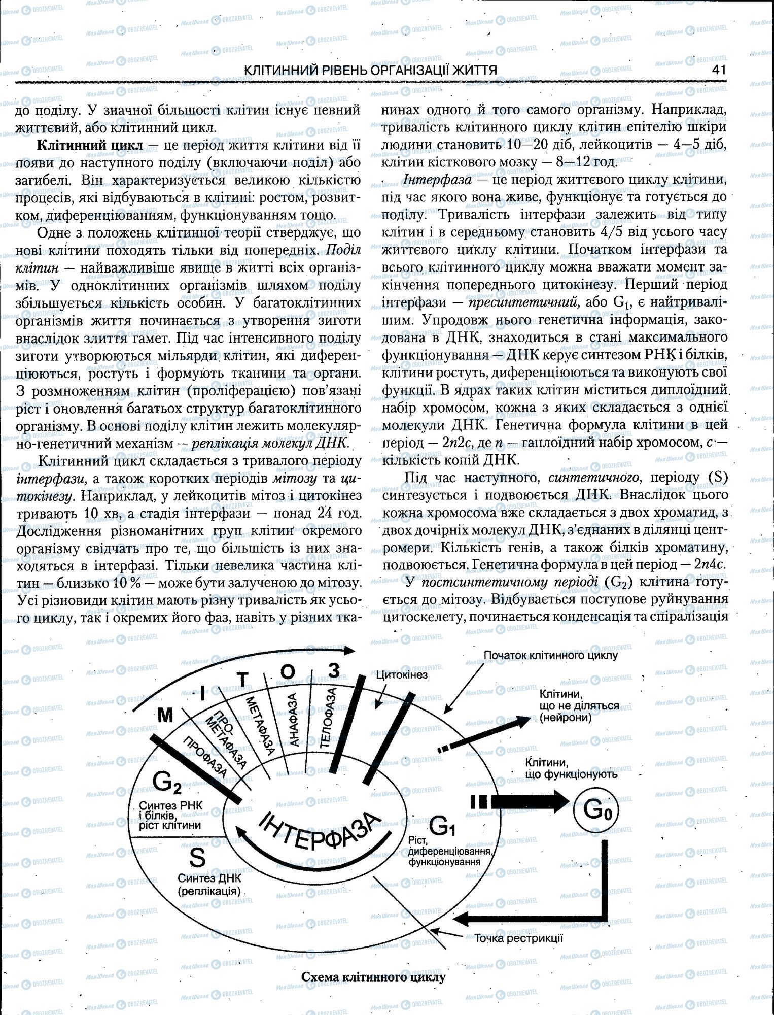 ЗНО Биология 11 класс страница 041