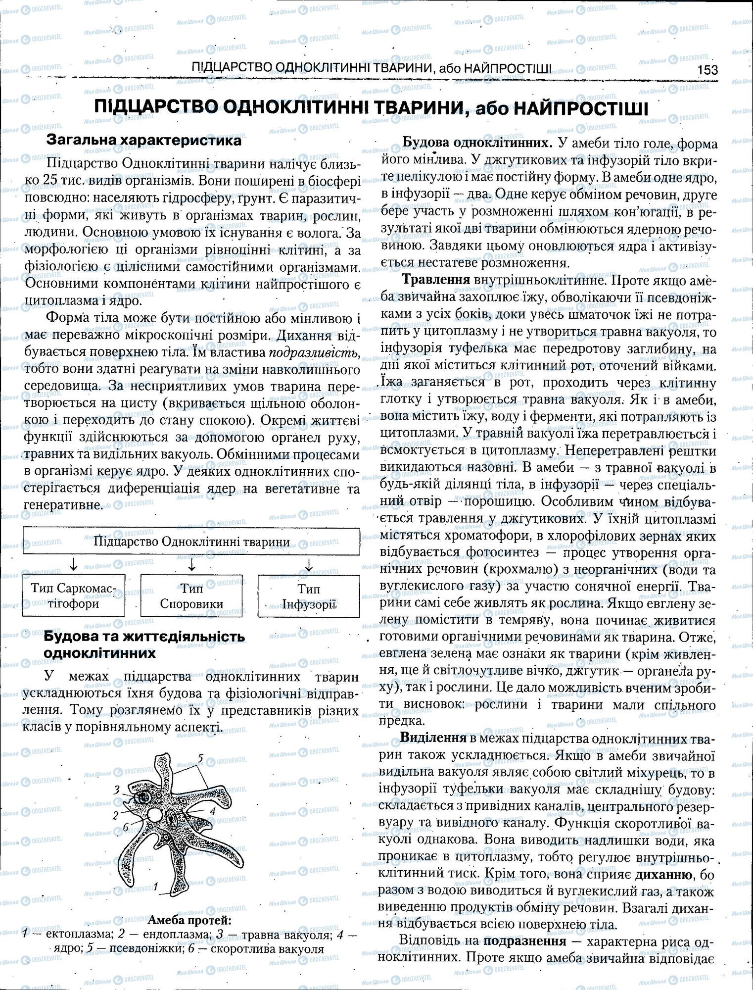 ЗНО Біологія 11 клас сторінка 153