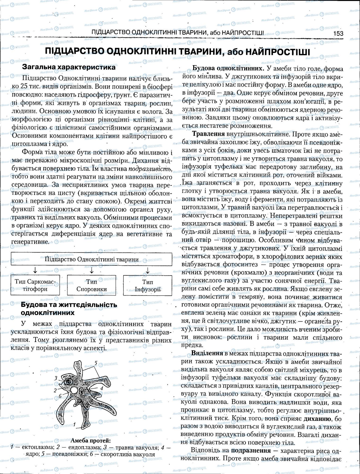 ЗНО Биология 11 класс страница 153