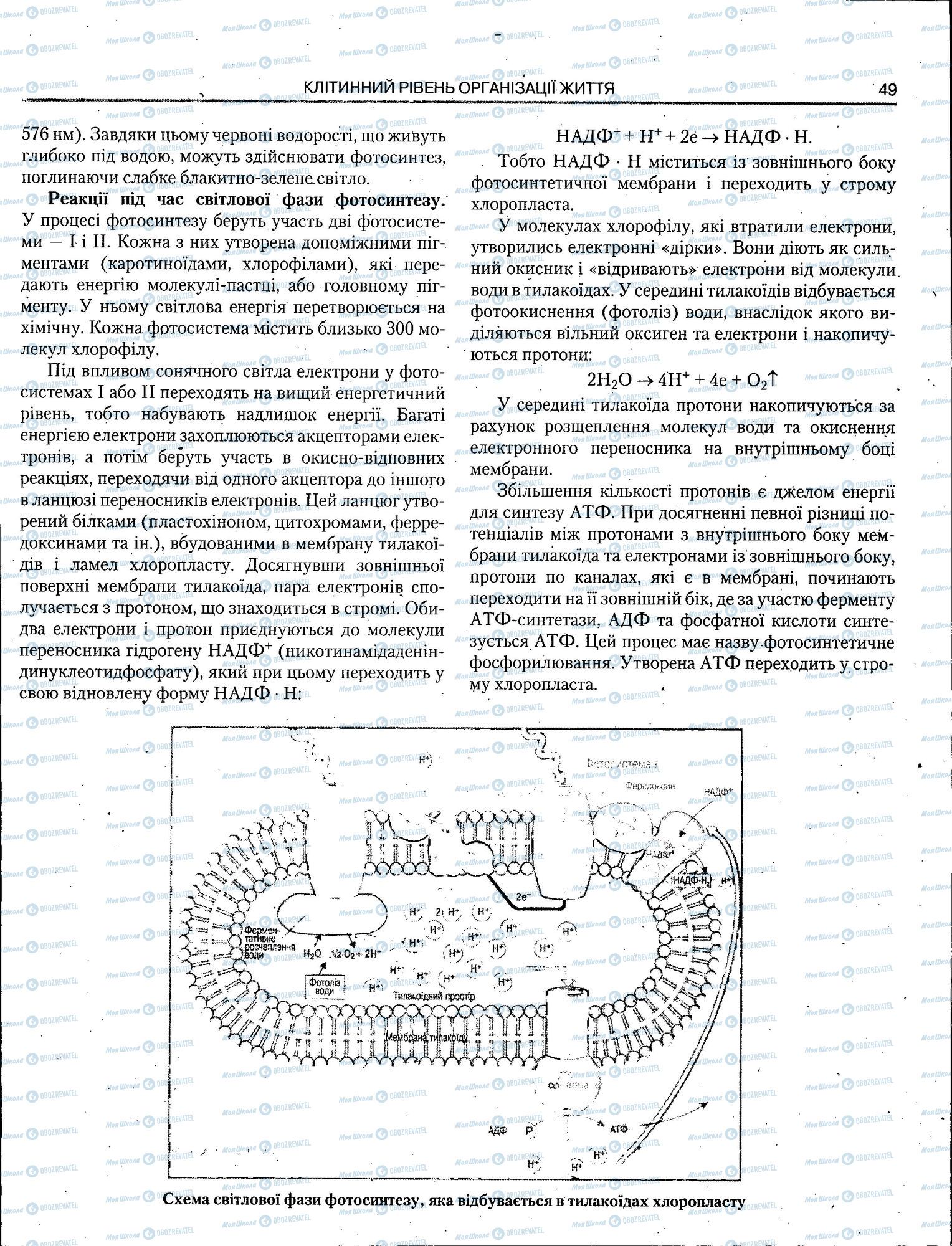 ЗНО Біологія 11 клас сторінка 049