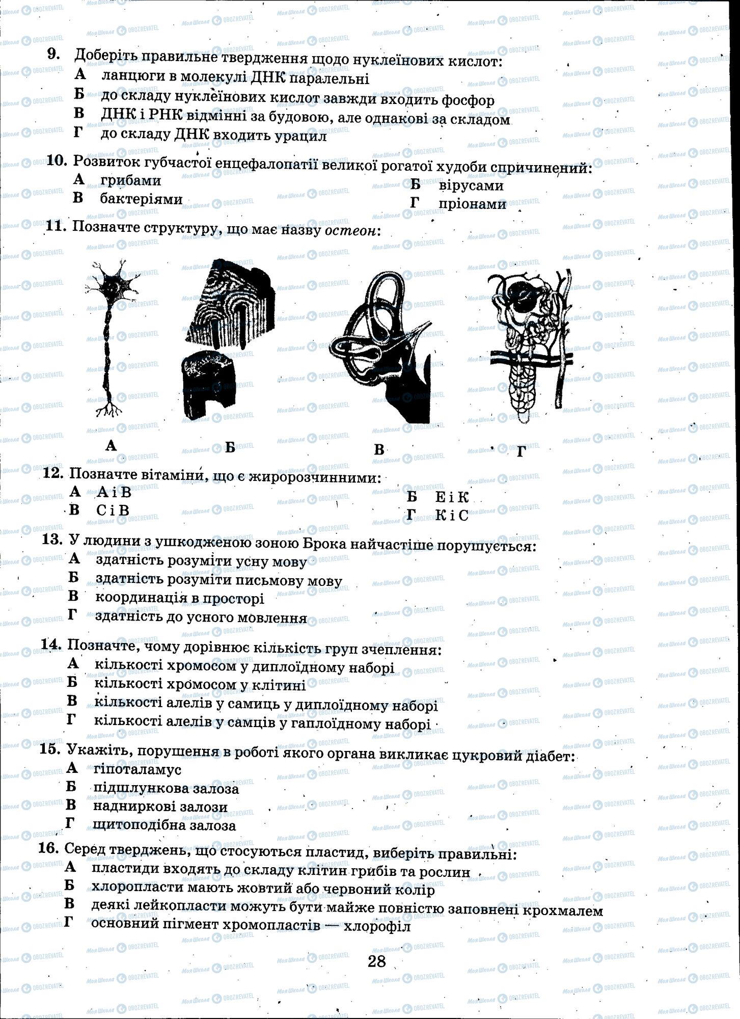 ЗНО Біологія 11 клас сторінка 028