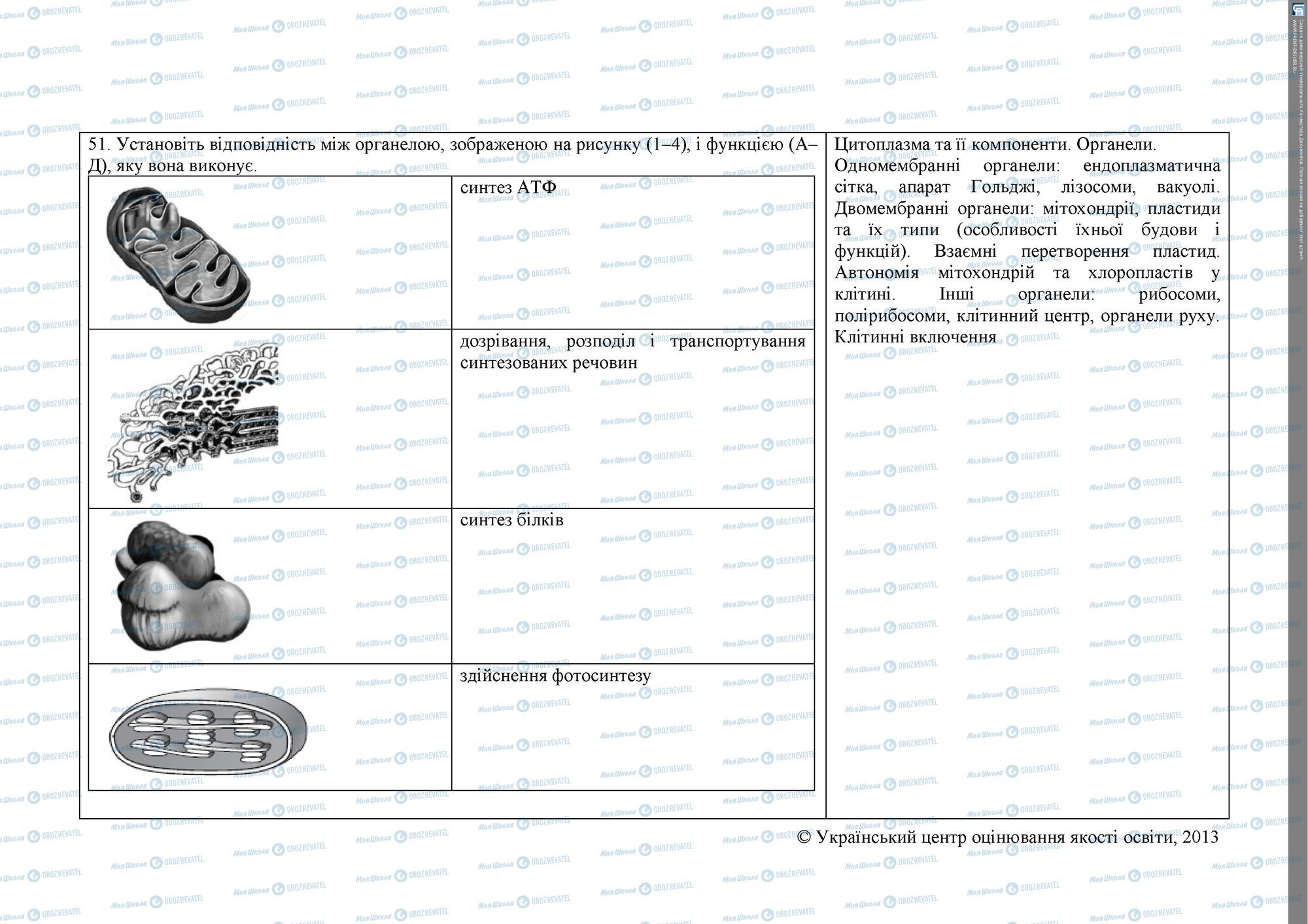 ЗНО Біологія 11 клас сторінка 12