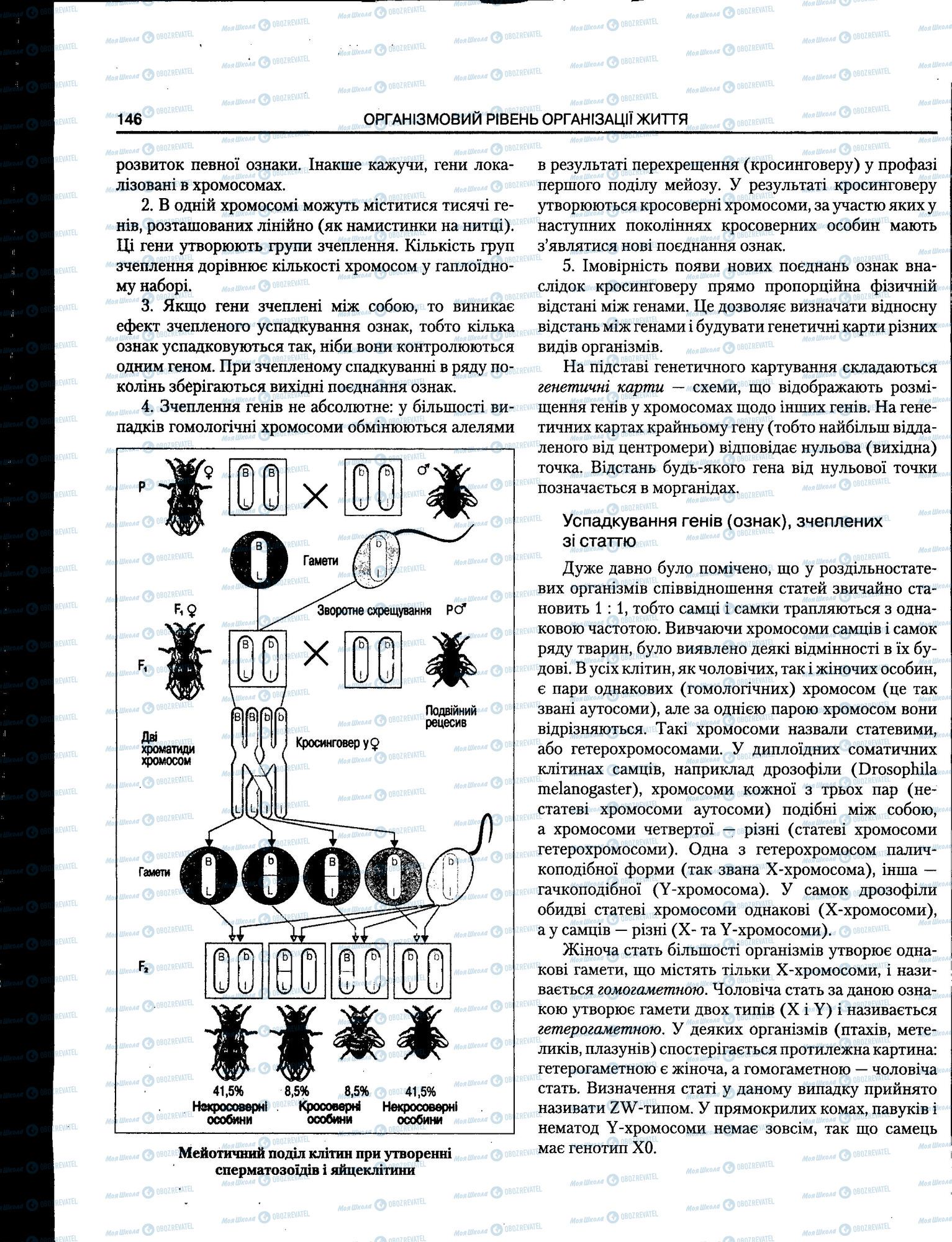 ЗНО Биология 11 класс страница 146
