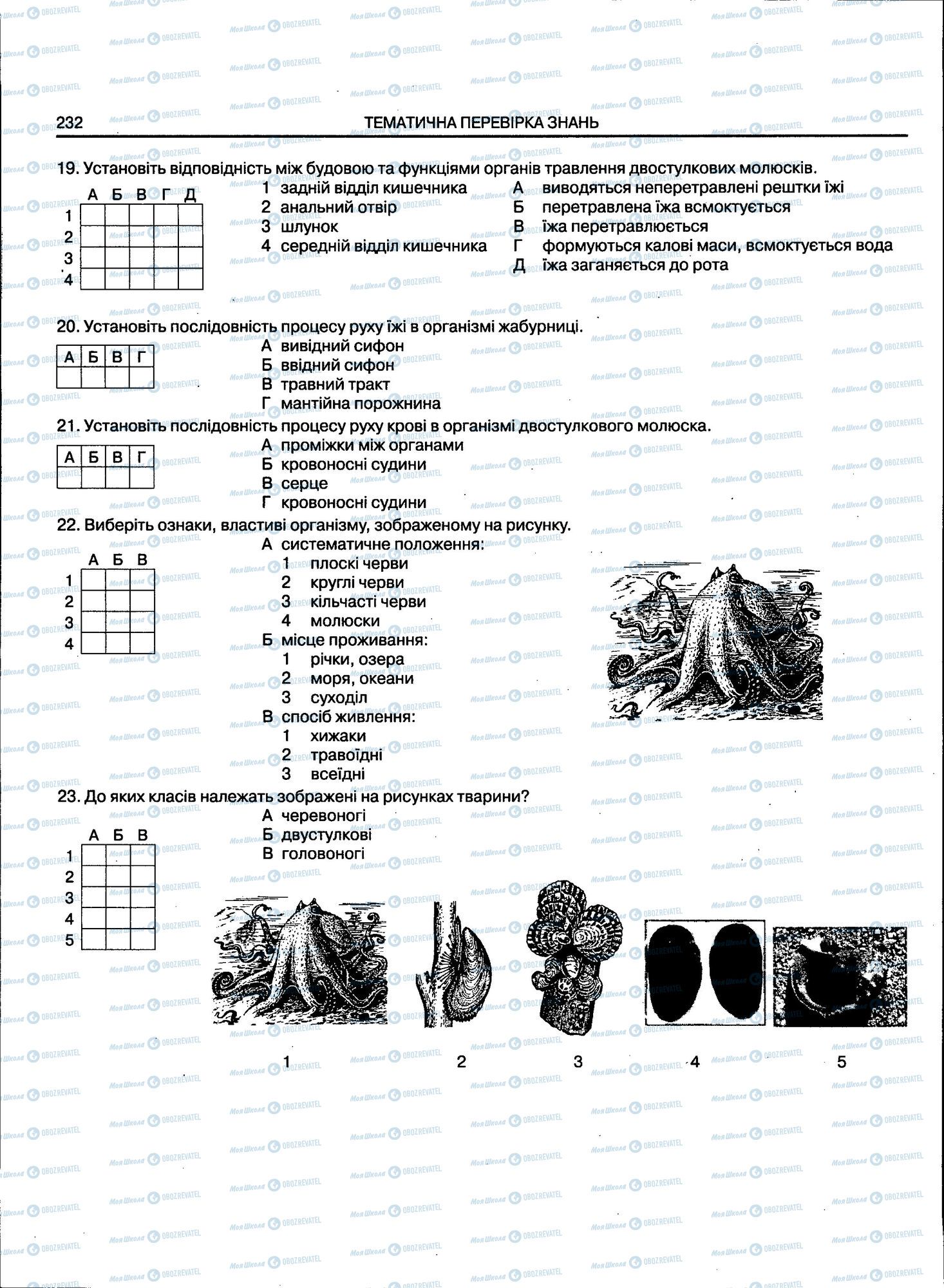 ЗНО Біологія 11 клас сторінка 232