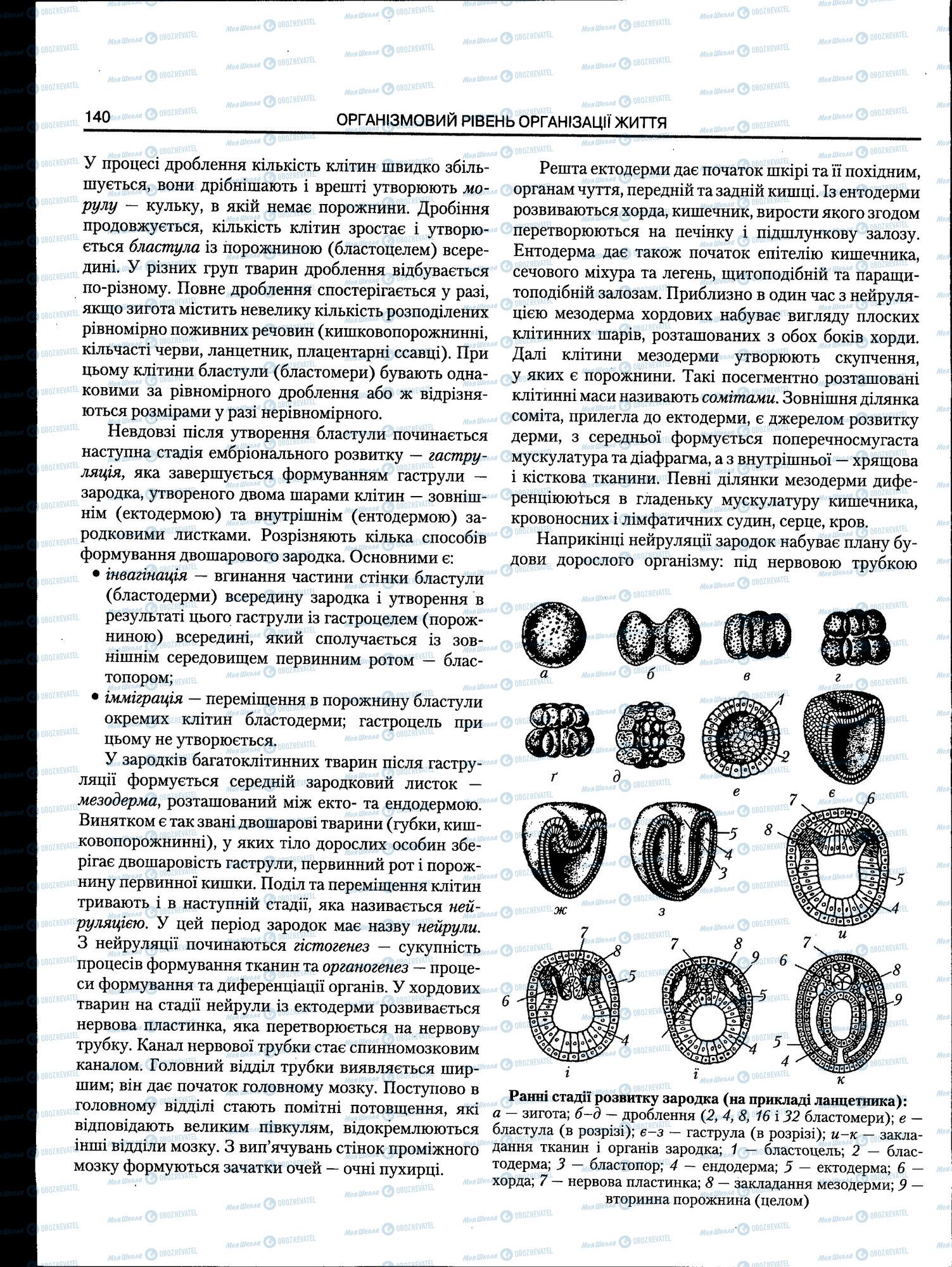 ЗНО Биология 11 класс страница 140