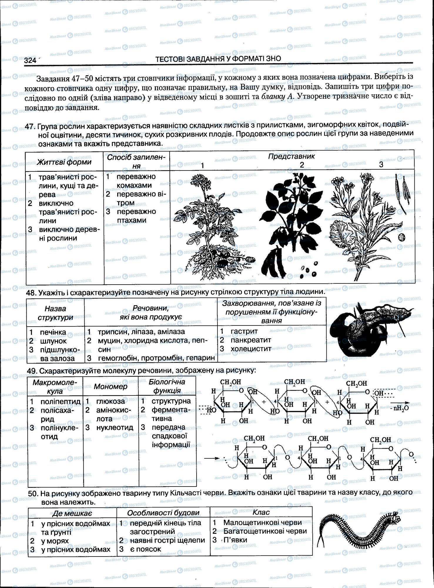 ЗНО Біологія 11 клас сторінка 324