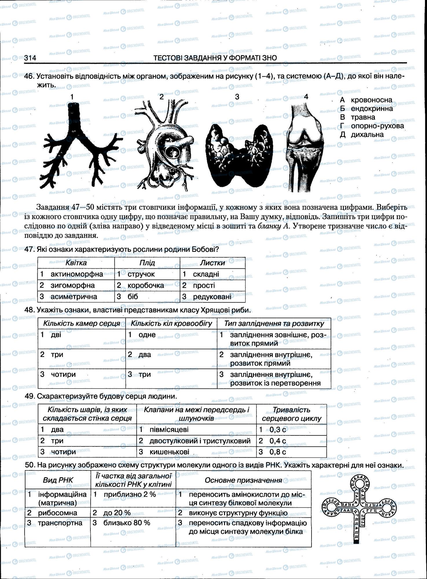 ЗНО Біологія 11 клас сторінка 314