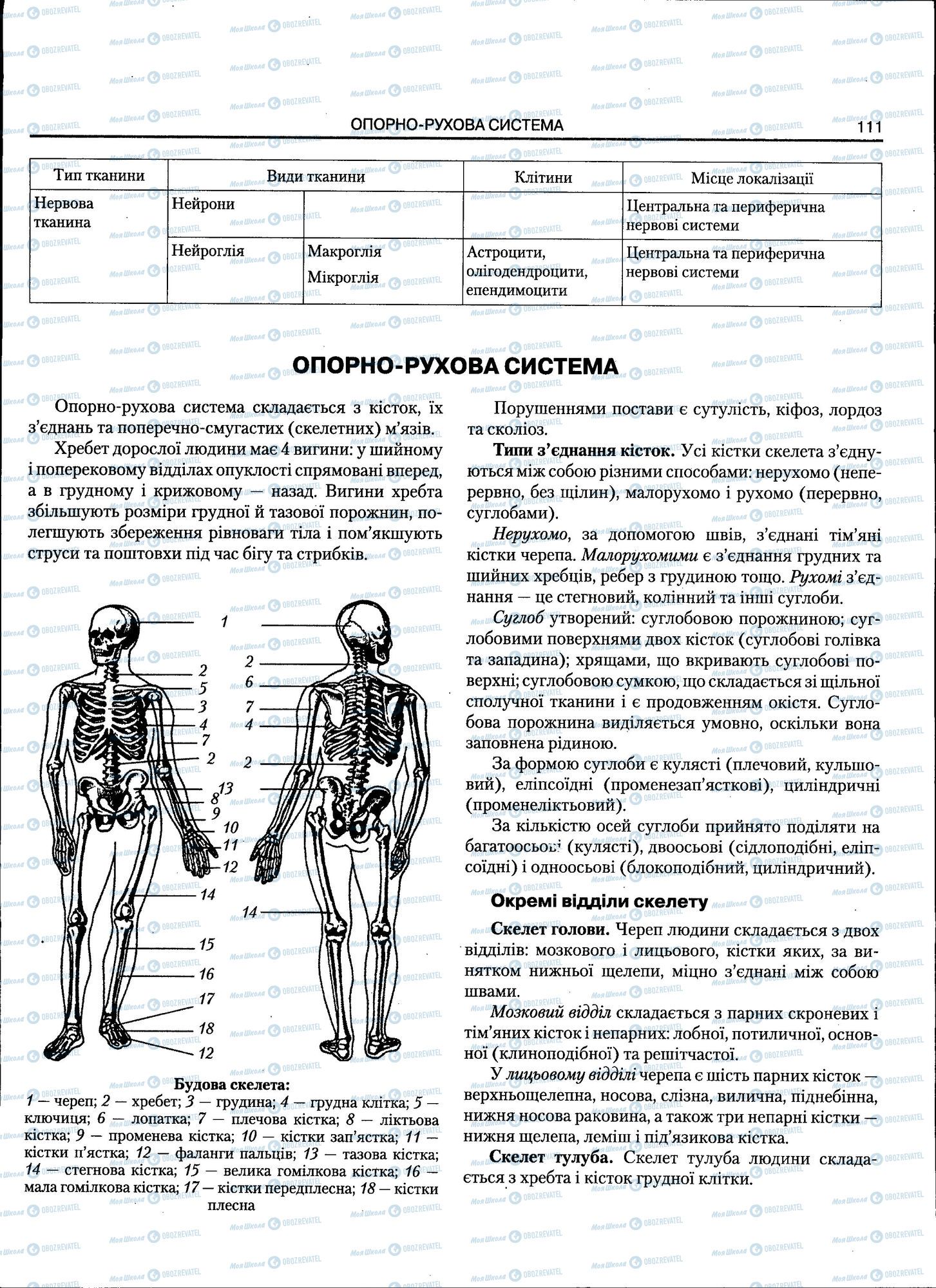 ЗНО Біологія 11 клас сторінка 111