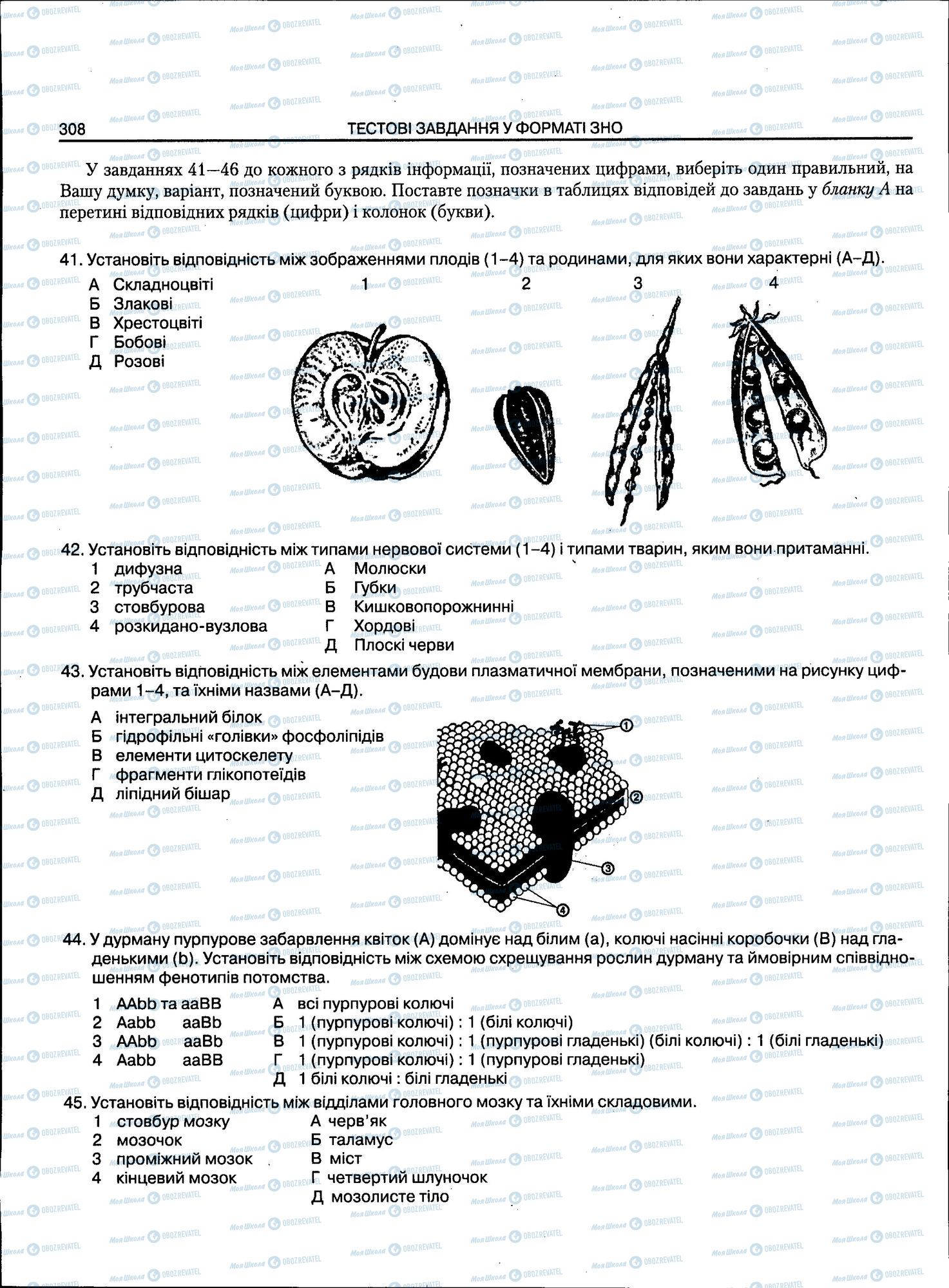 ЗНО Биология 11 класс страница 308