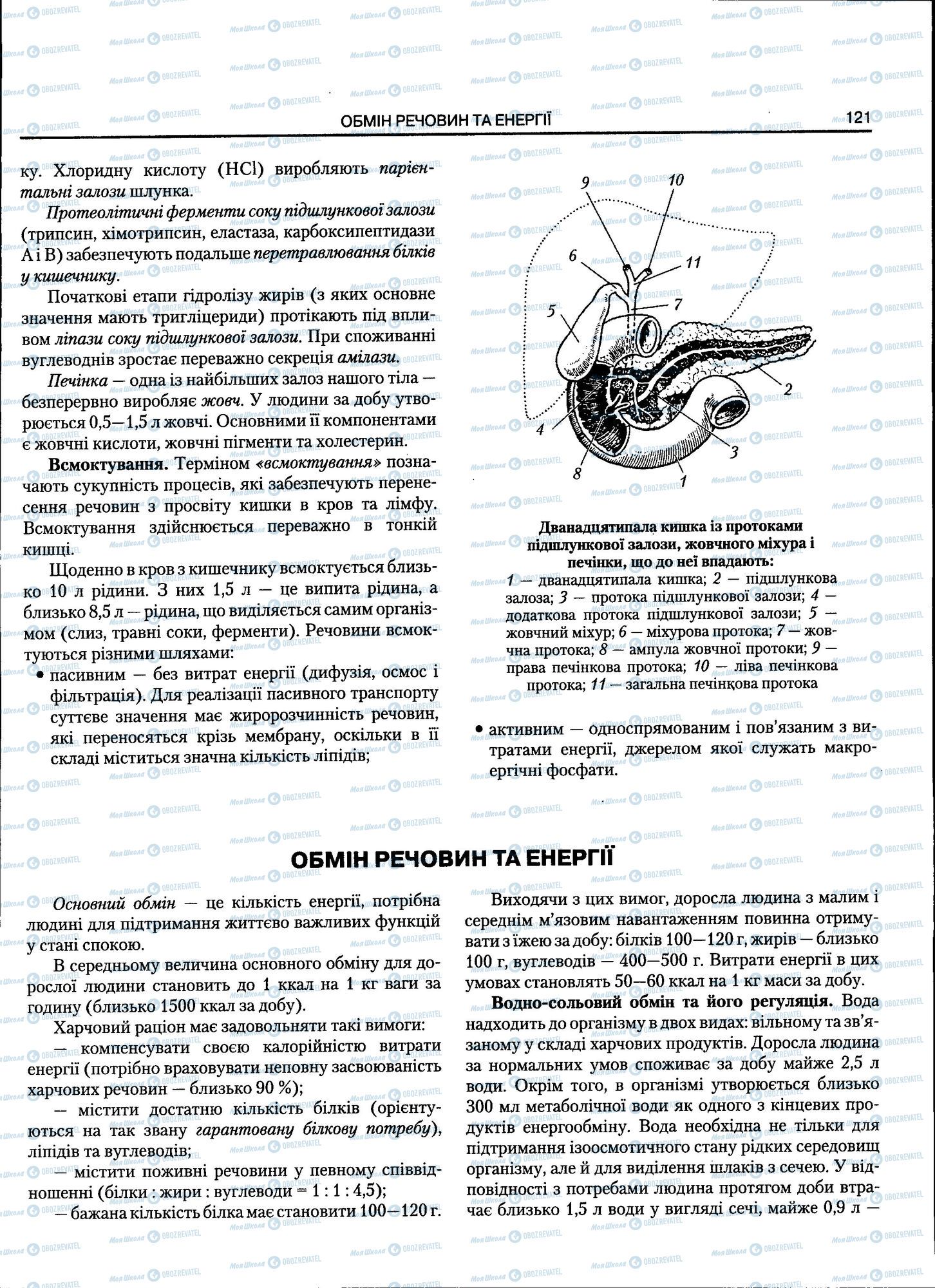 ЗНО Биология 11 класс страница 121