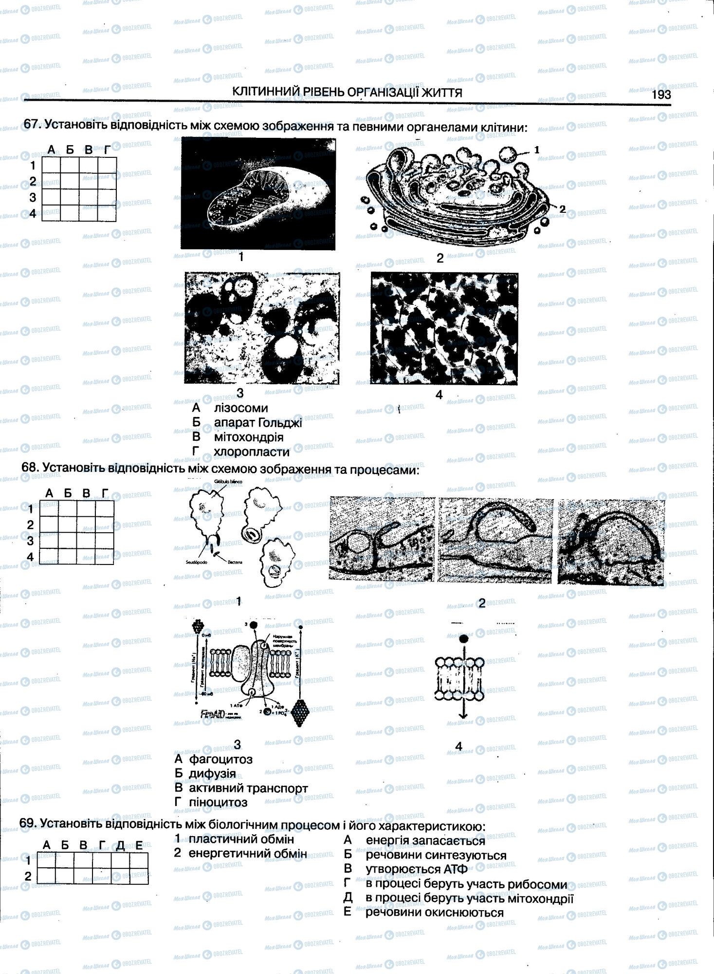 ЗНО Біологія 11 клас сторінка 193