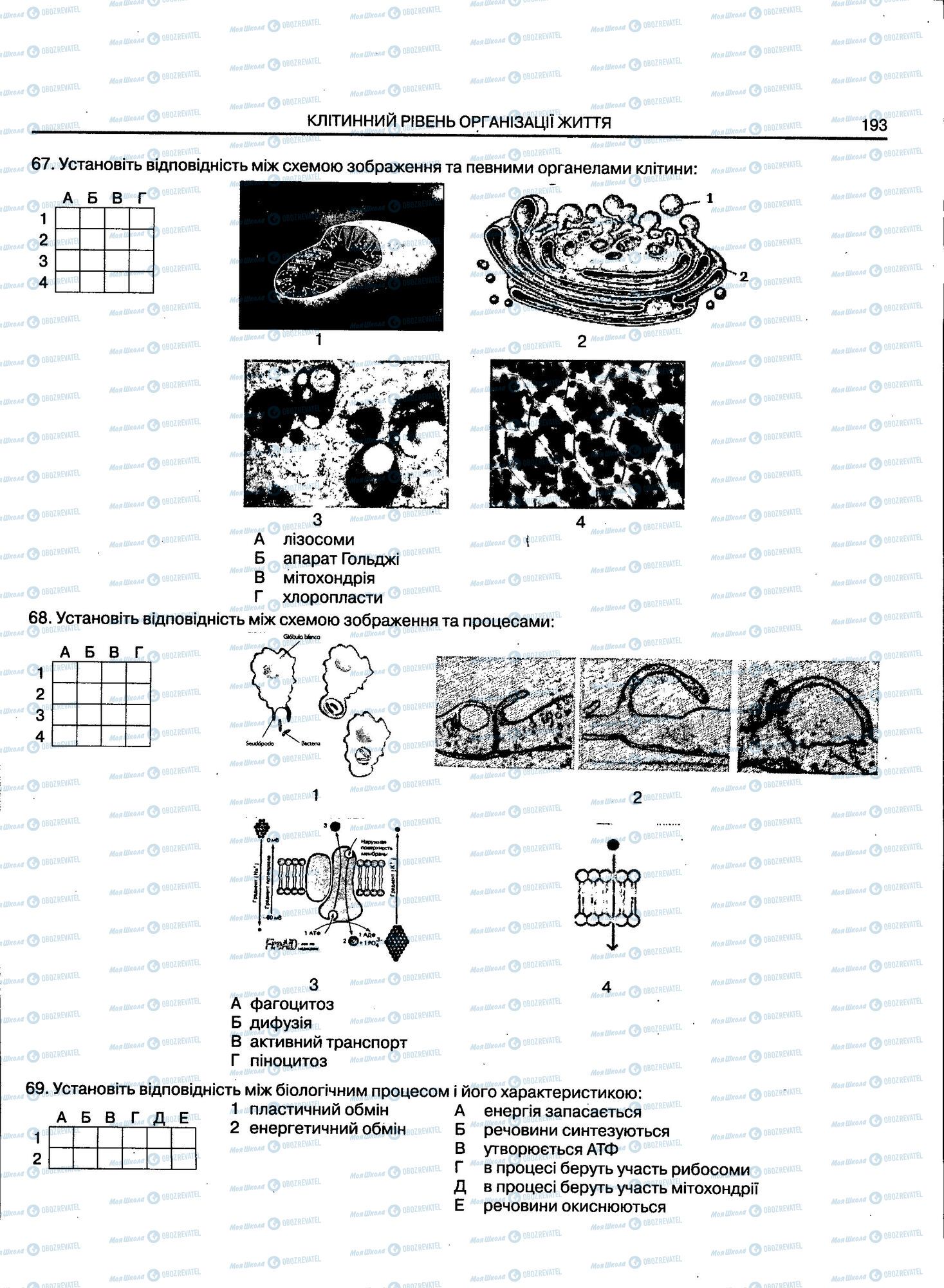 ЗНО Биология 11 класс страница 193