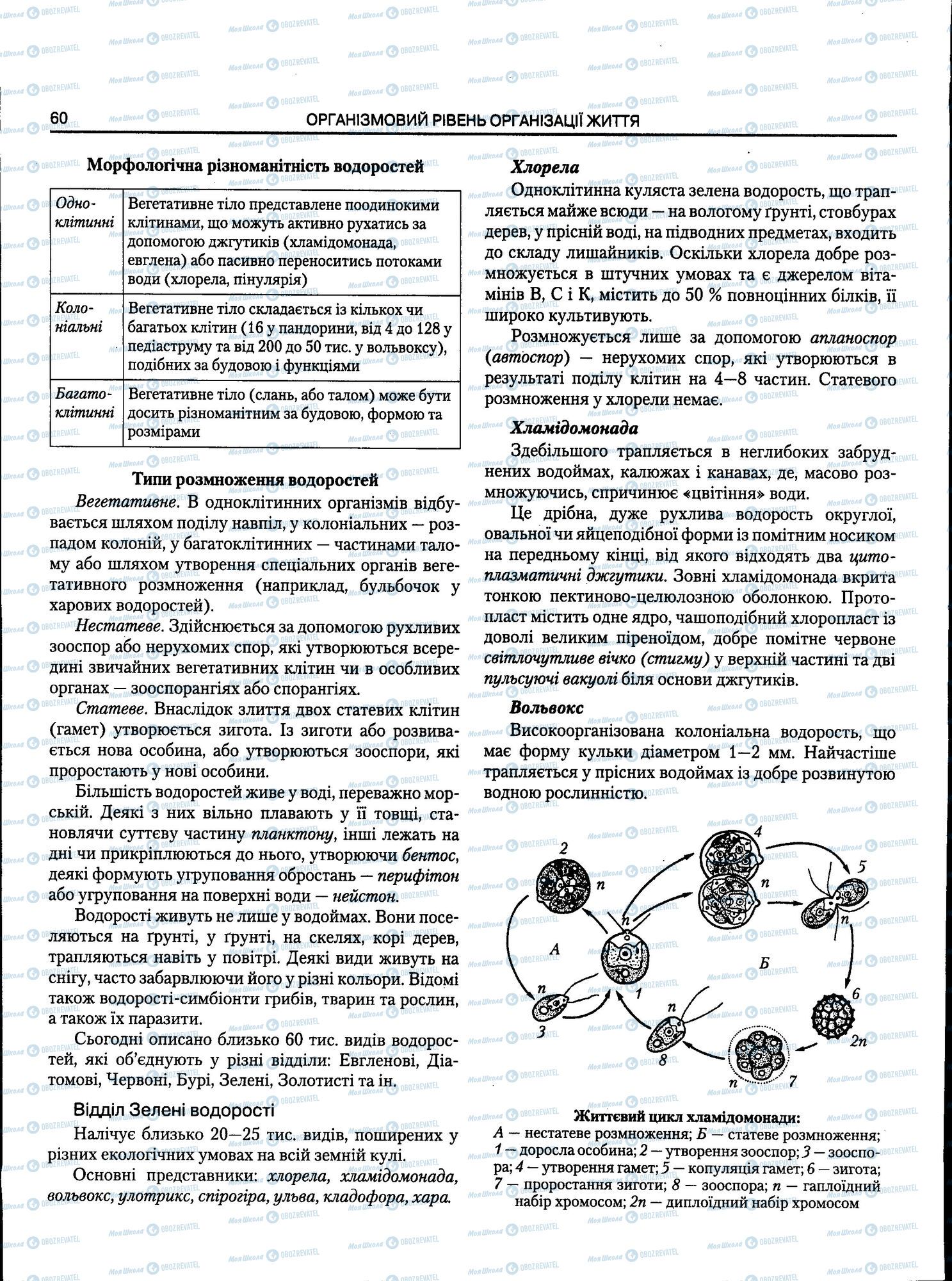 ЗНО Біологія 11 клас сторінка 060