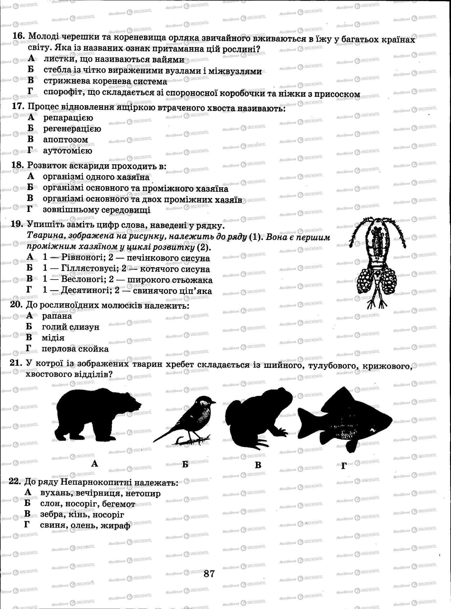 ЗНО Біологія 11 клас сторінка 087