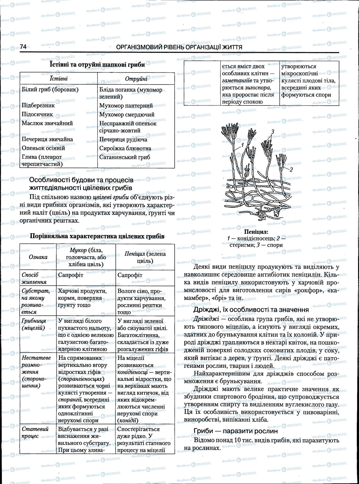 ЗНО Біологія 11 клас сторінка 074