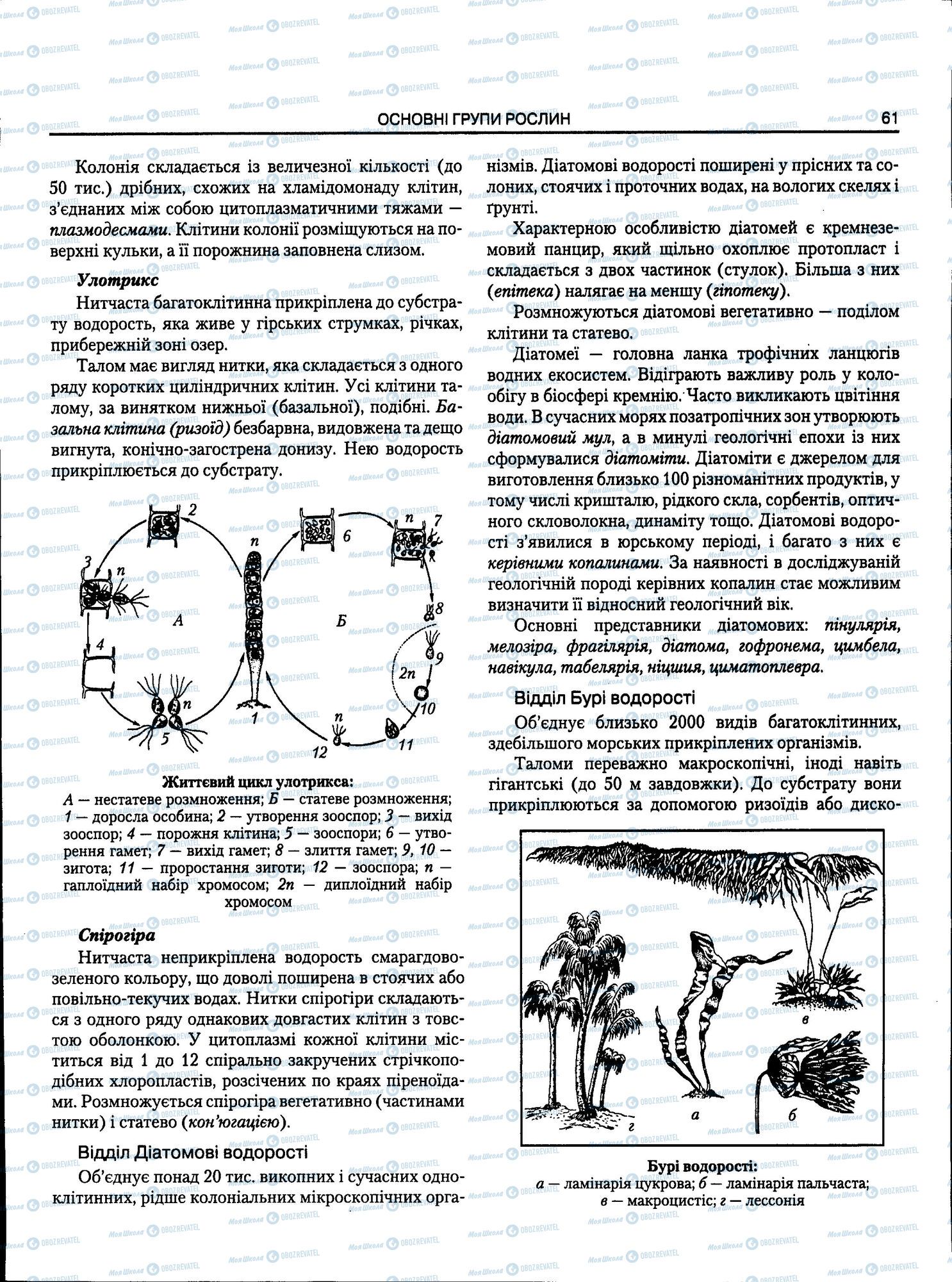 ЗНО Биология 11 класс страница 061