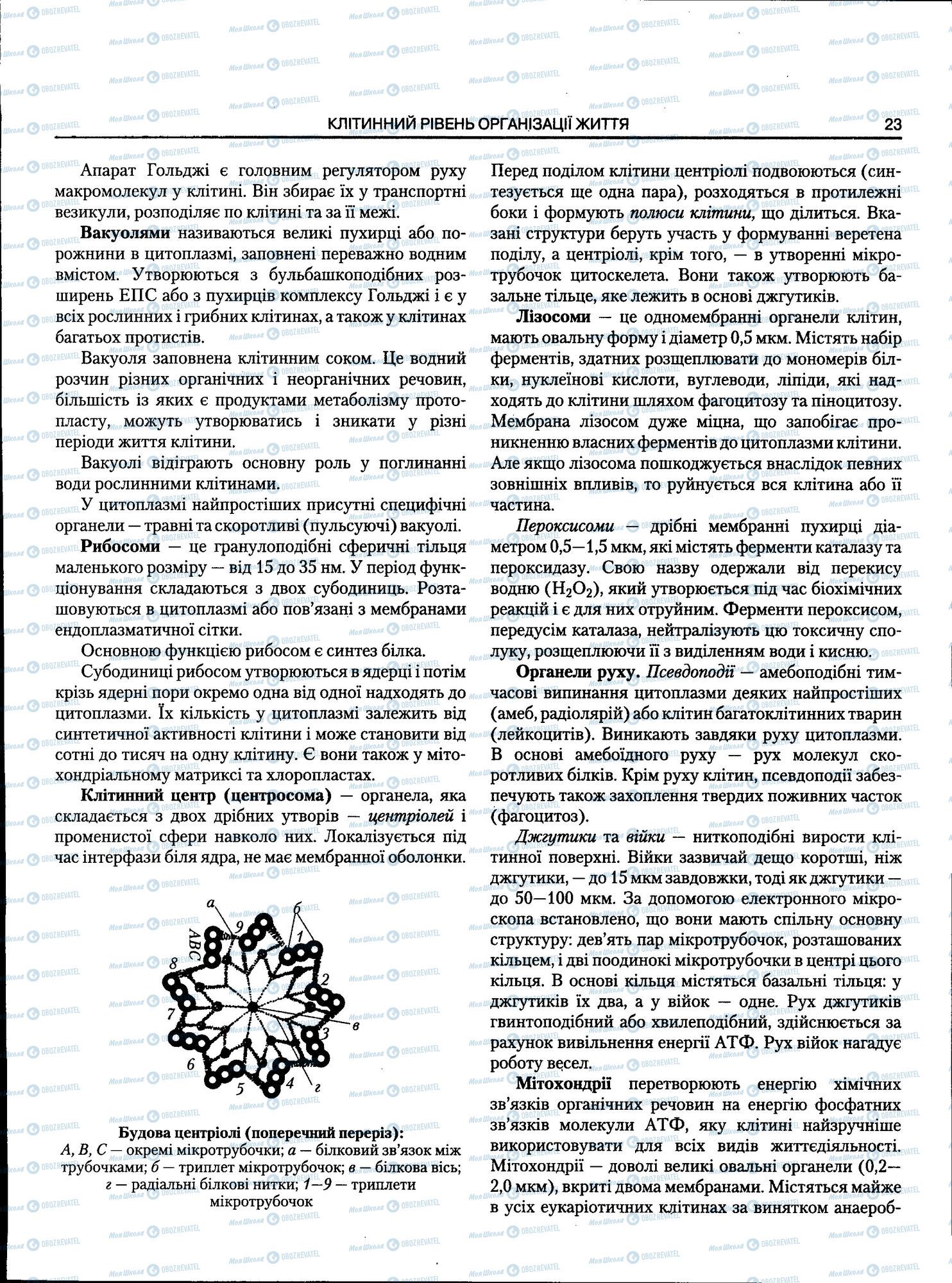 ЗНО Биология 11 класс страница 023